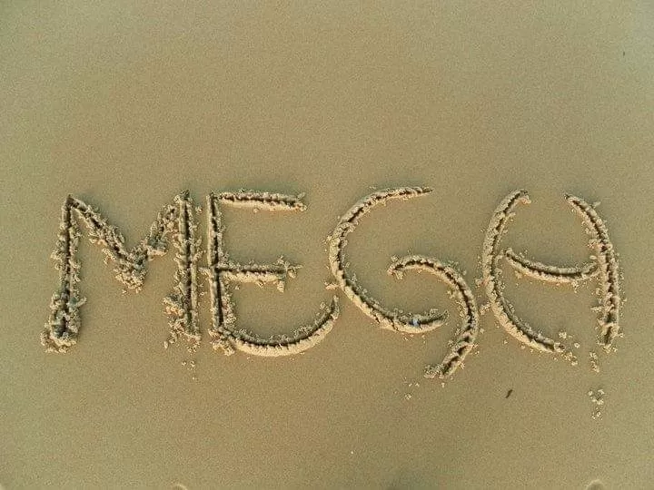 Cover Image of Meghashyam Malashetter