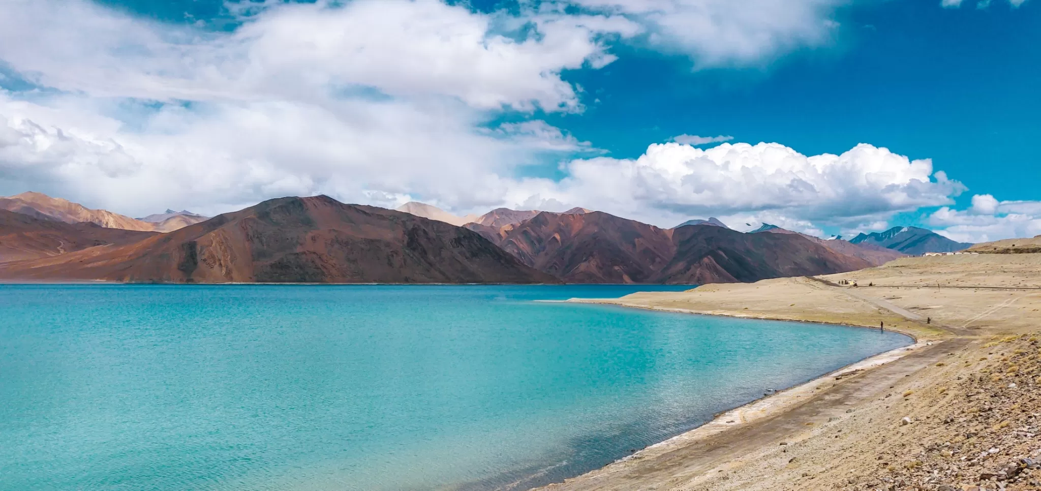 Cover Image of Divy Gupta