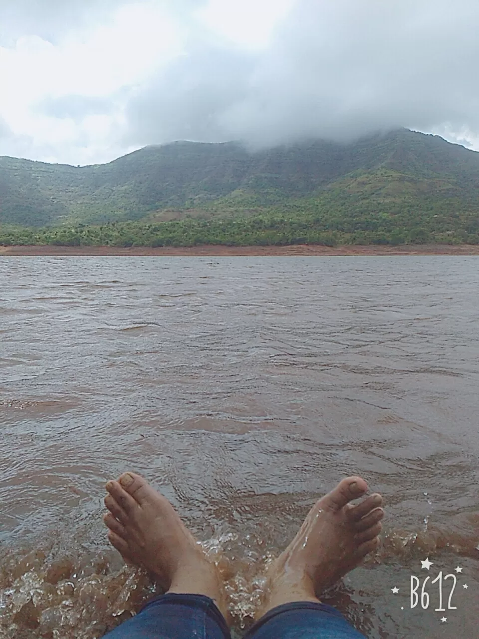 Cover Image of Vrushhali Kadus