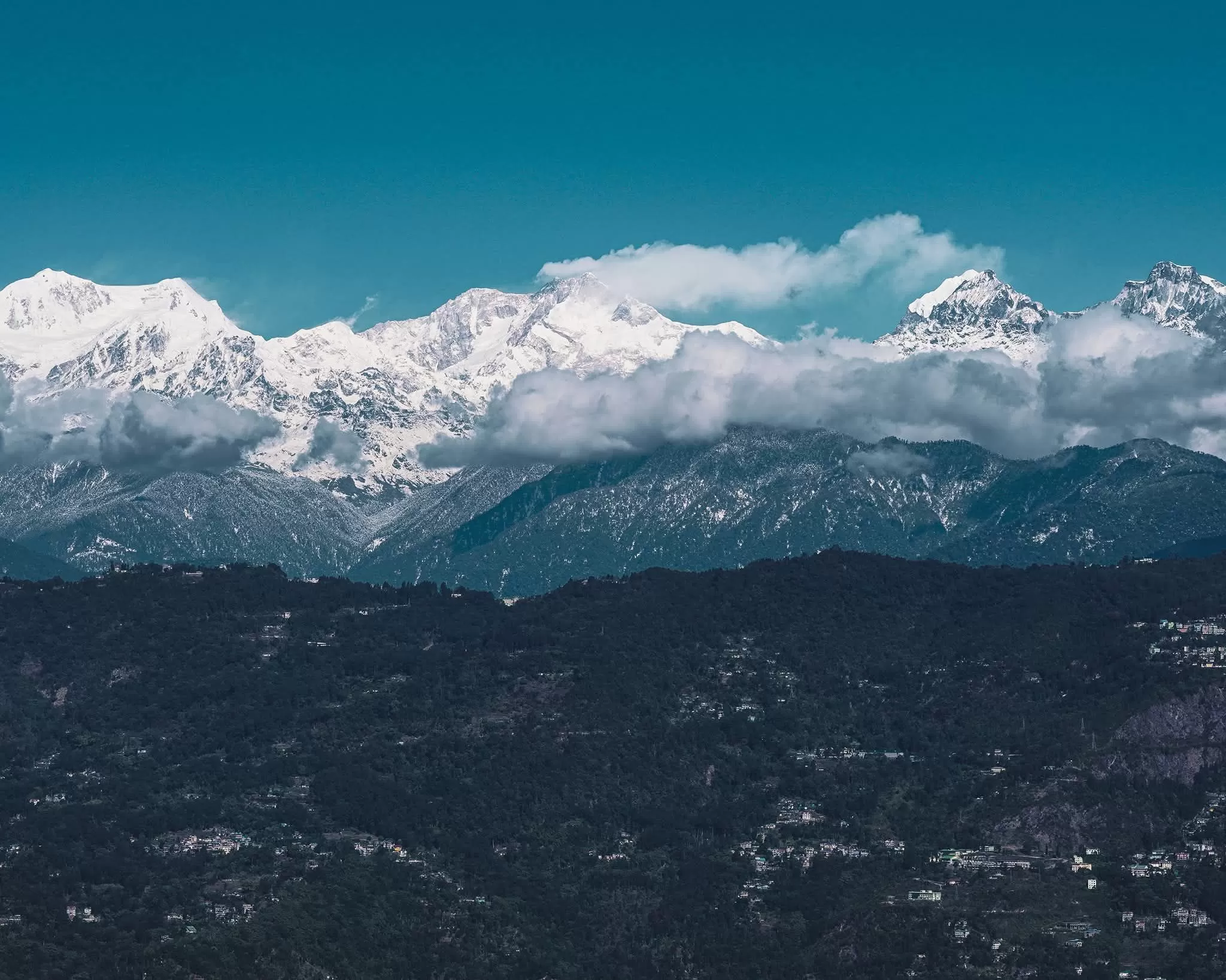 Cover Image of sangeeta goon