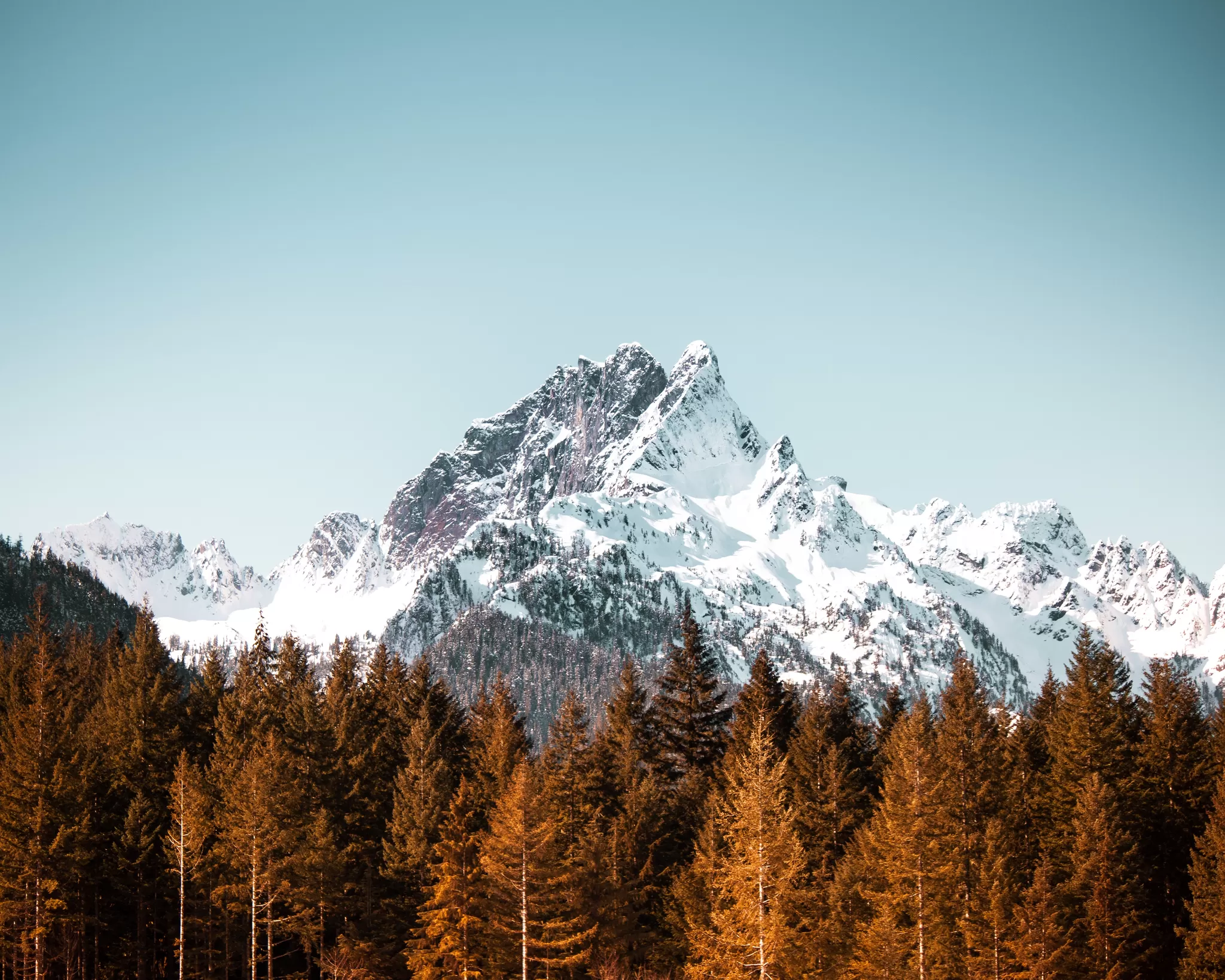 Cover Image of appy trips holiday