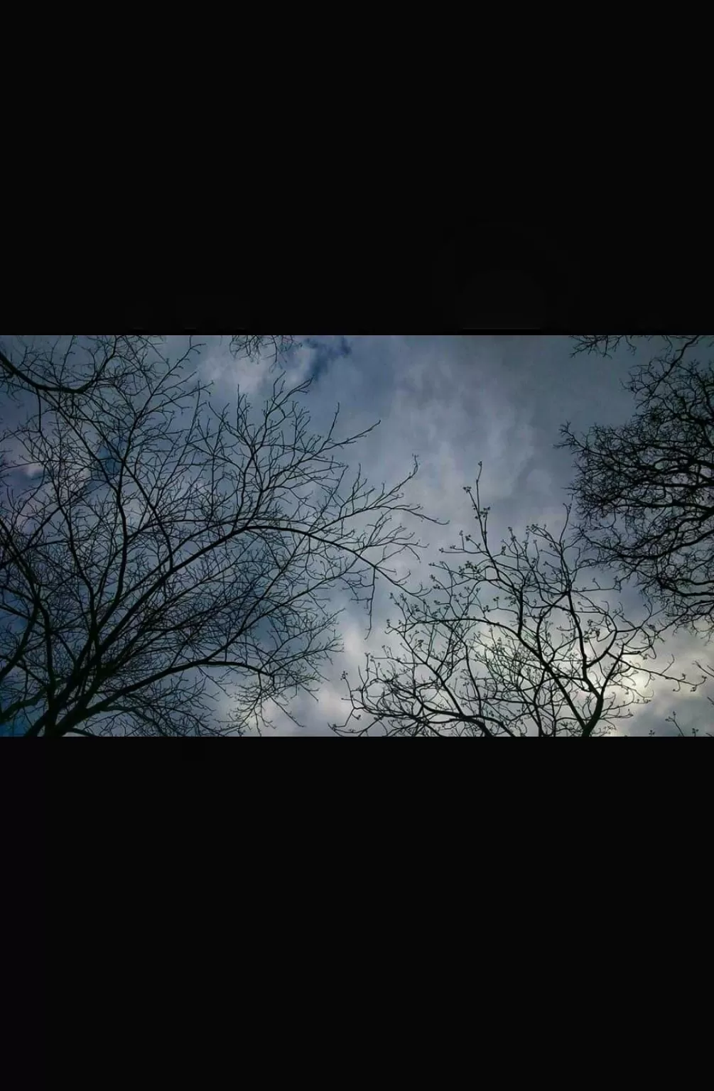 Cover Image of Neeharika Sharma