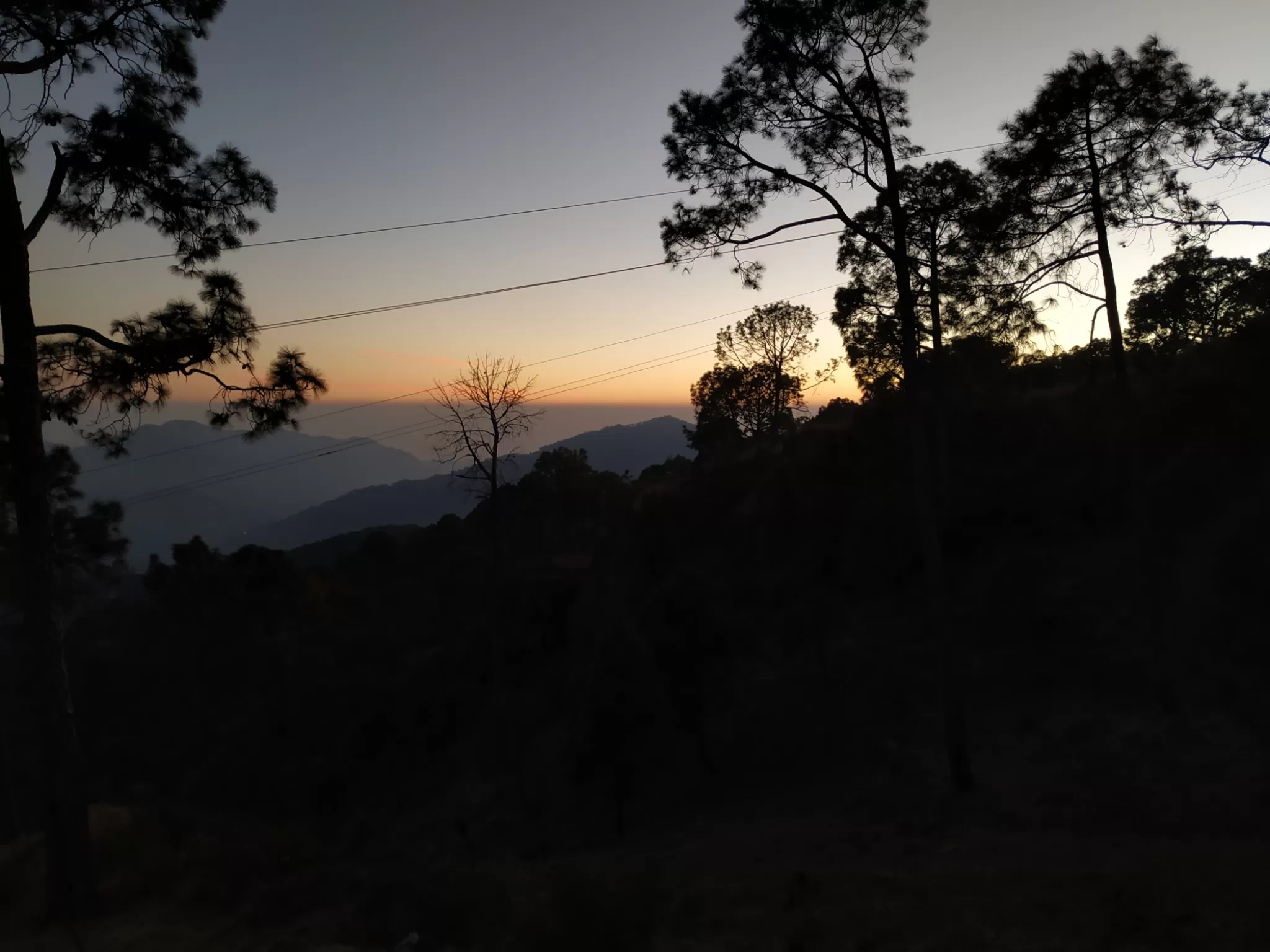 Cover Image of Aman Grover