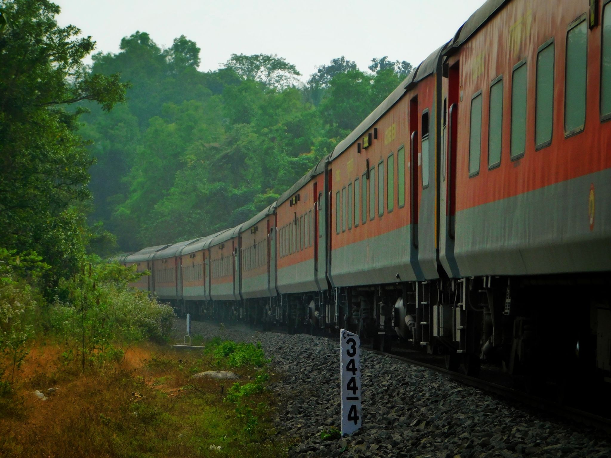 Cover Image of Shubham Paunikar