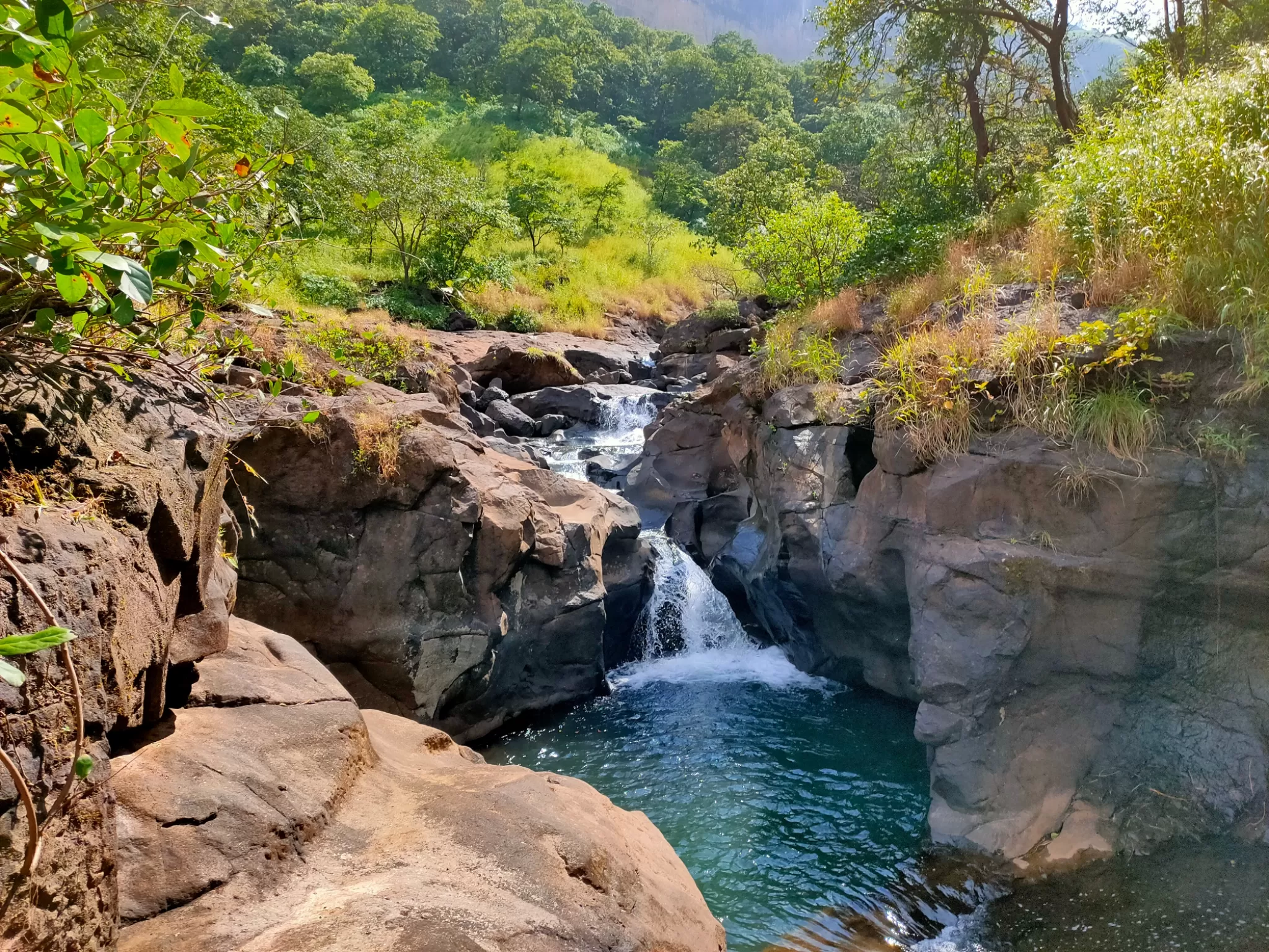 Cover Image of nandi vardhan