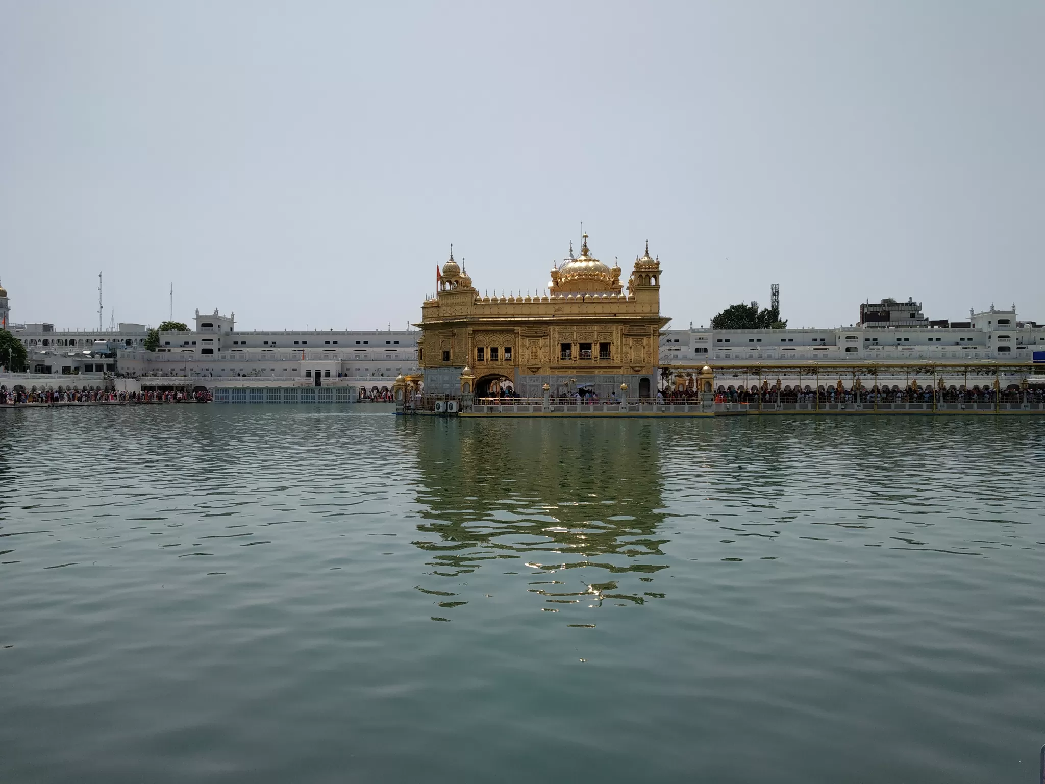Cover Image of Pavan Kumar
