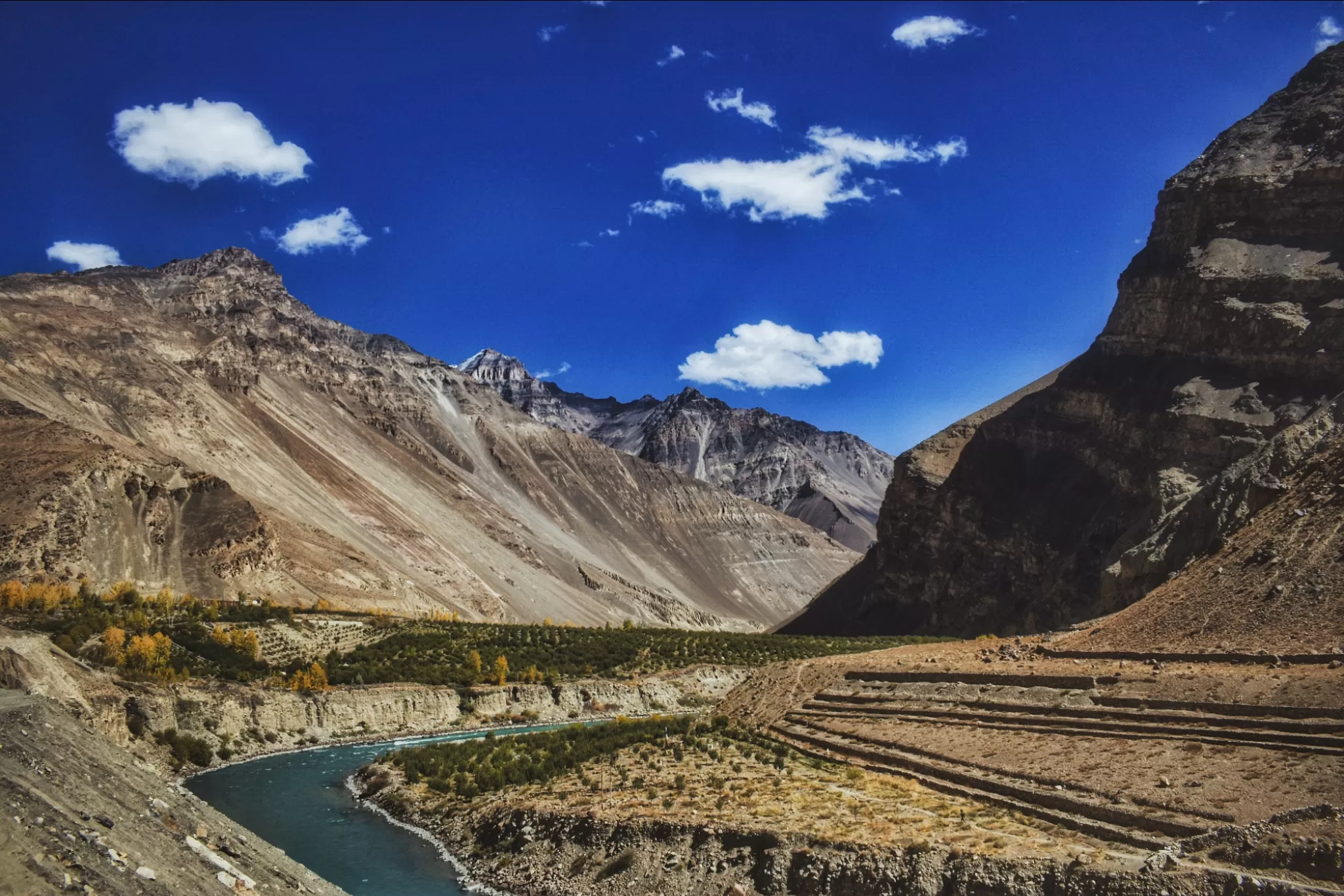 Cover Image of Aritra Sen