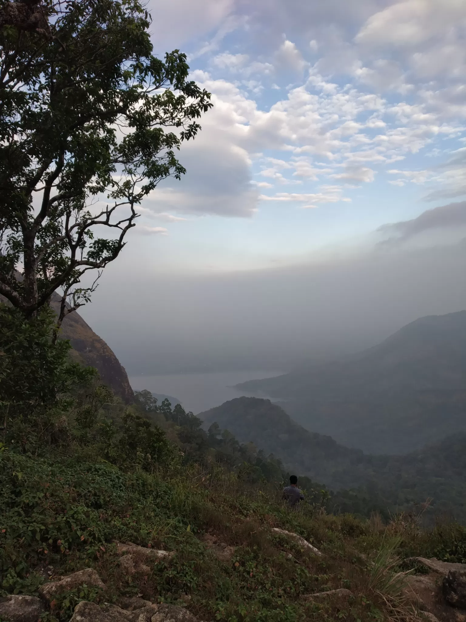 Cover Image of ALANDEV S