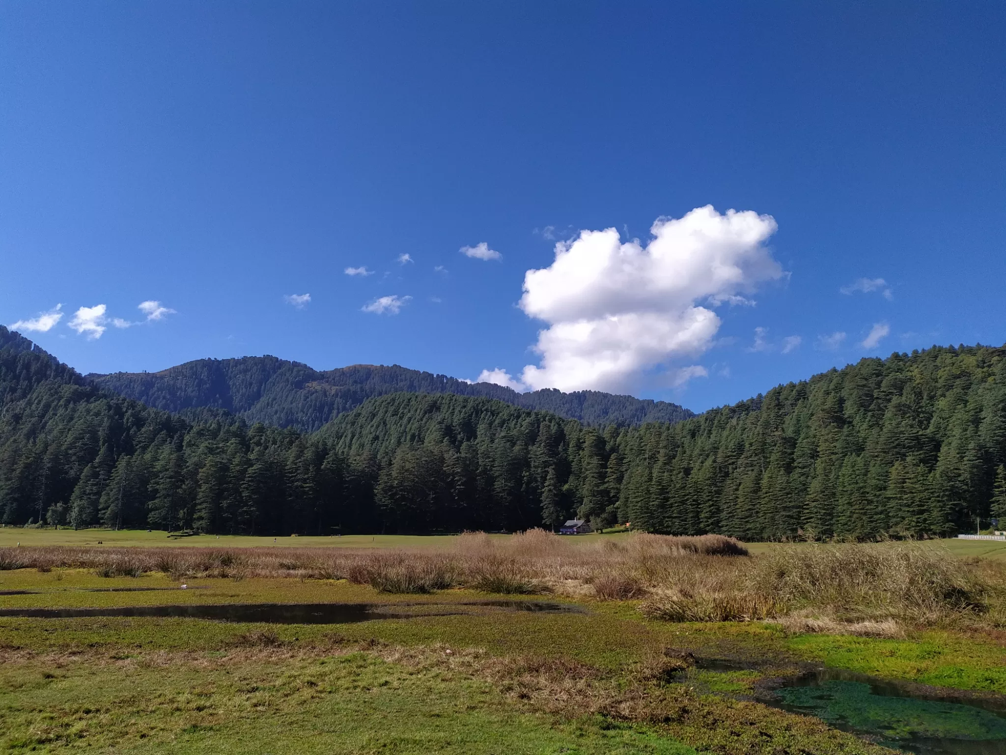 Cover Image of Pracheta Vayangankar