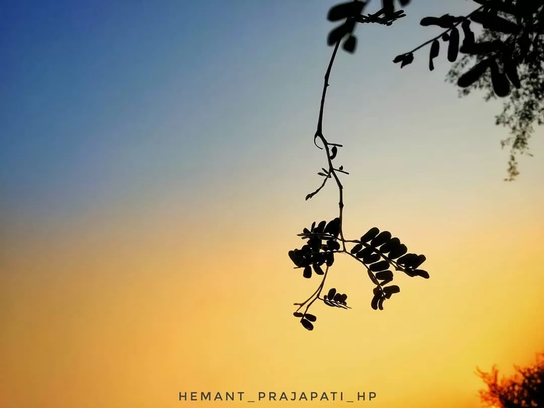 Cover Image of Hemant Prajapat