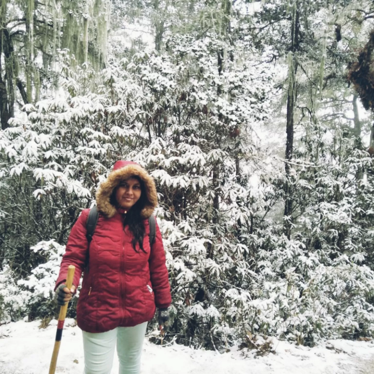 Cover Image of Debjani Guha
