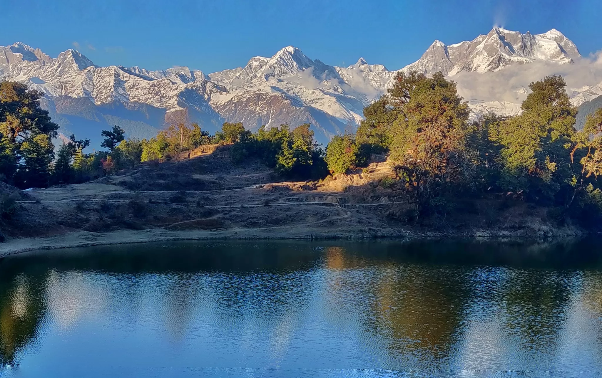 Cover Image of Sunny