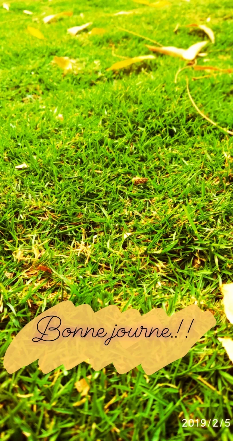 Cover Image of Mandari Sreenitha