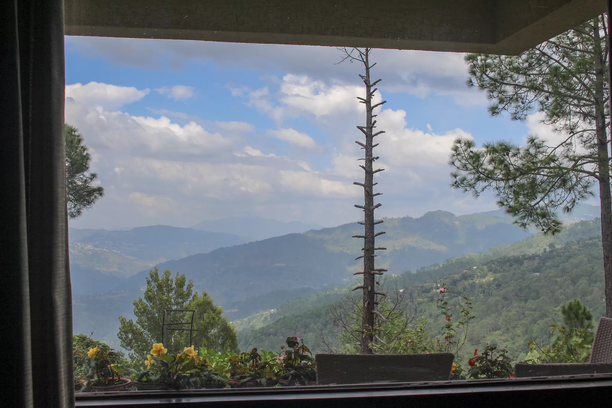 Cover Image of Fine Trails