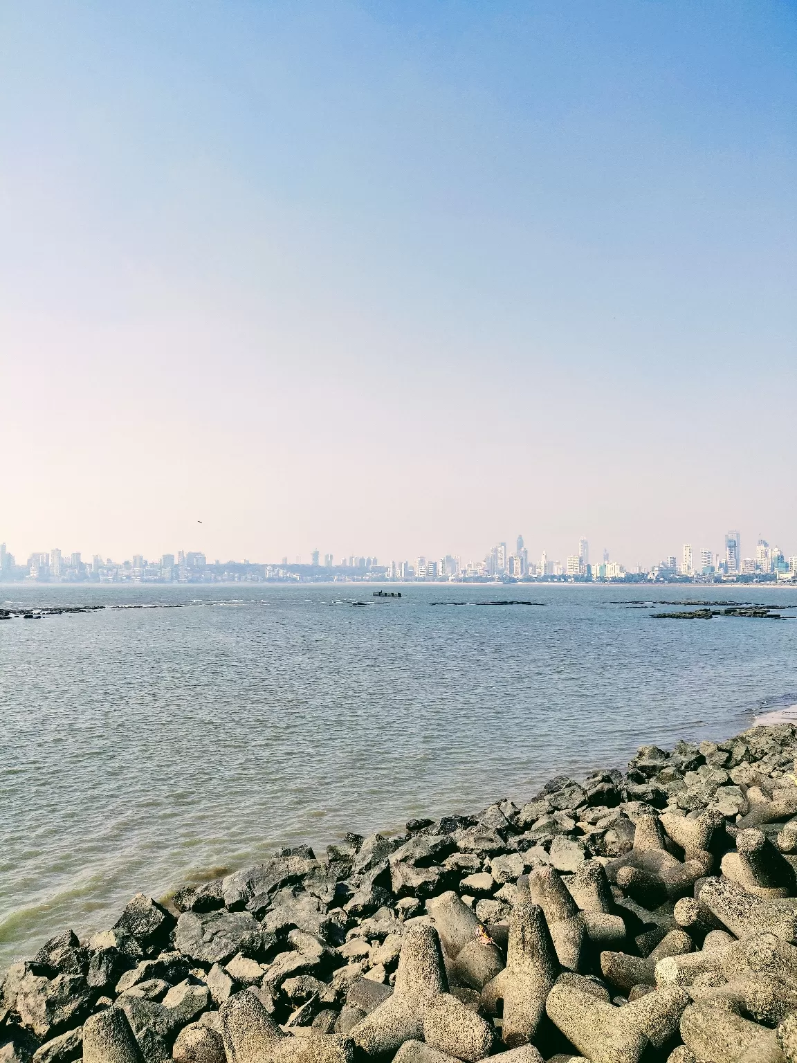 Cover Image of Vasundhara Balaji