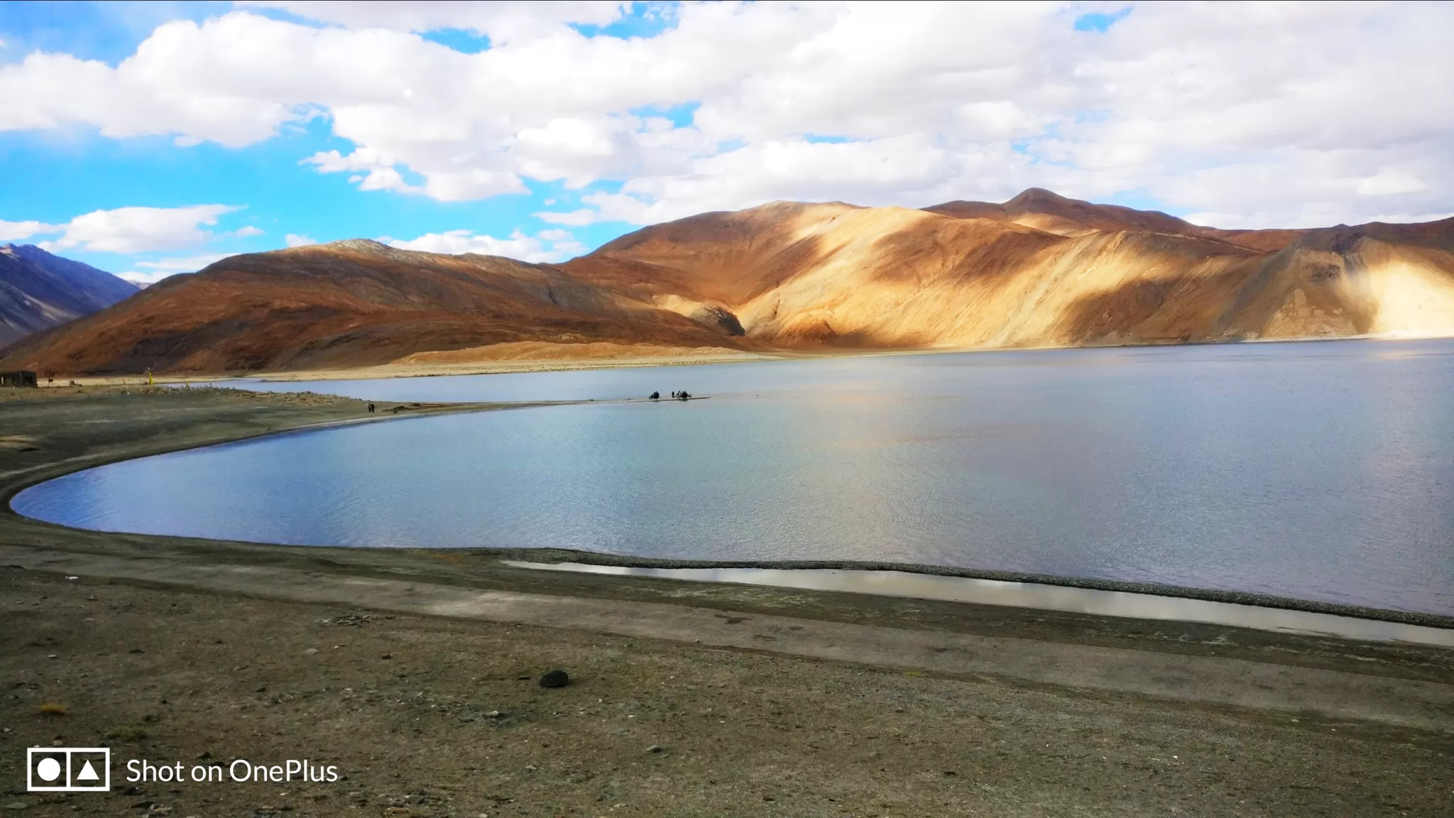 Cover Image of Sheel