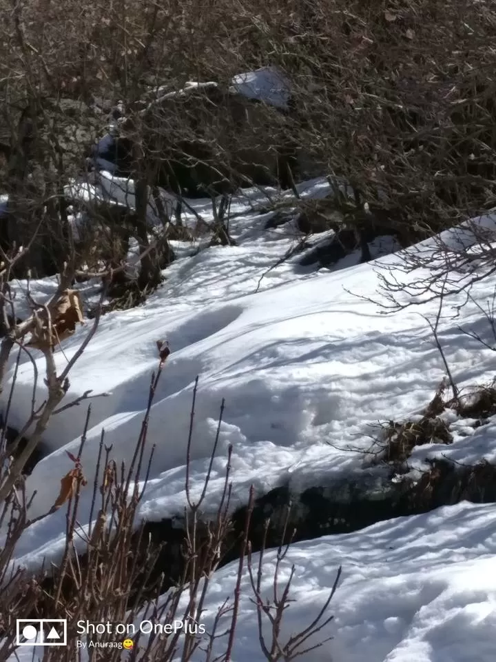 Cover Image of karunya emmanuel