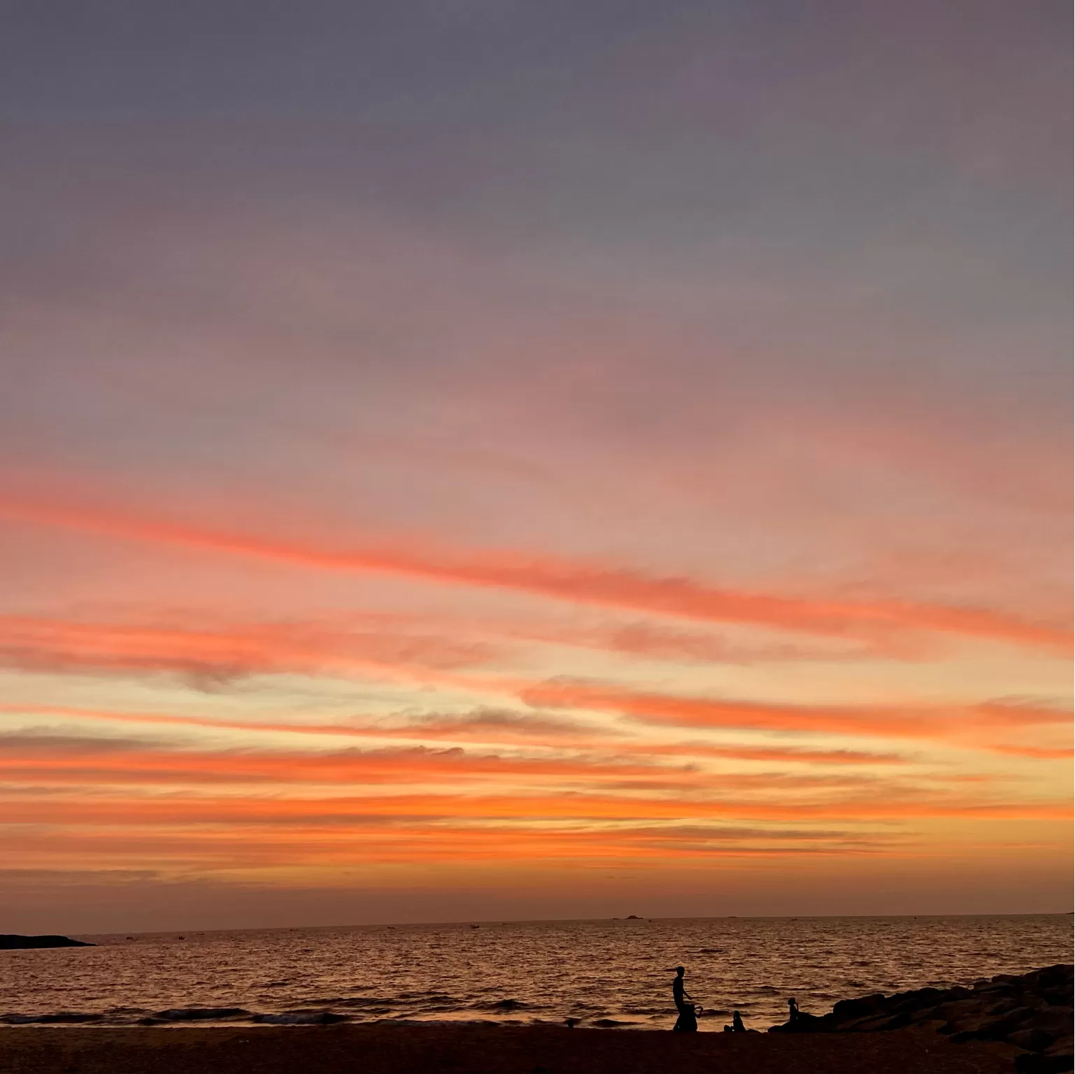 Cover Image of Shashi Uma Anchan
