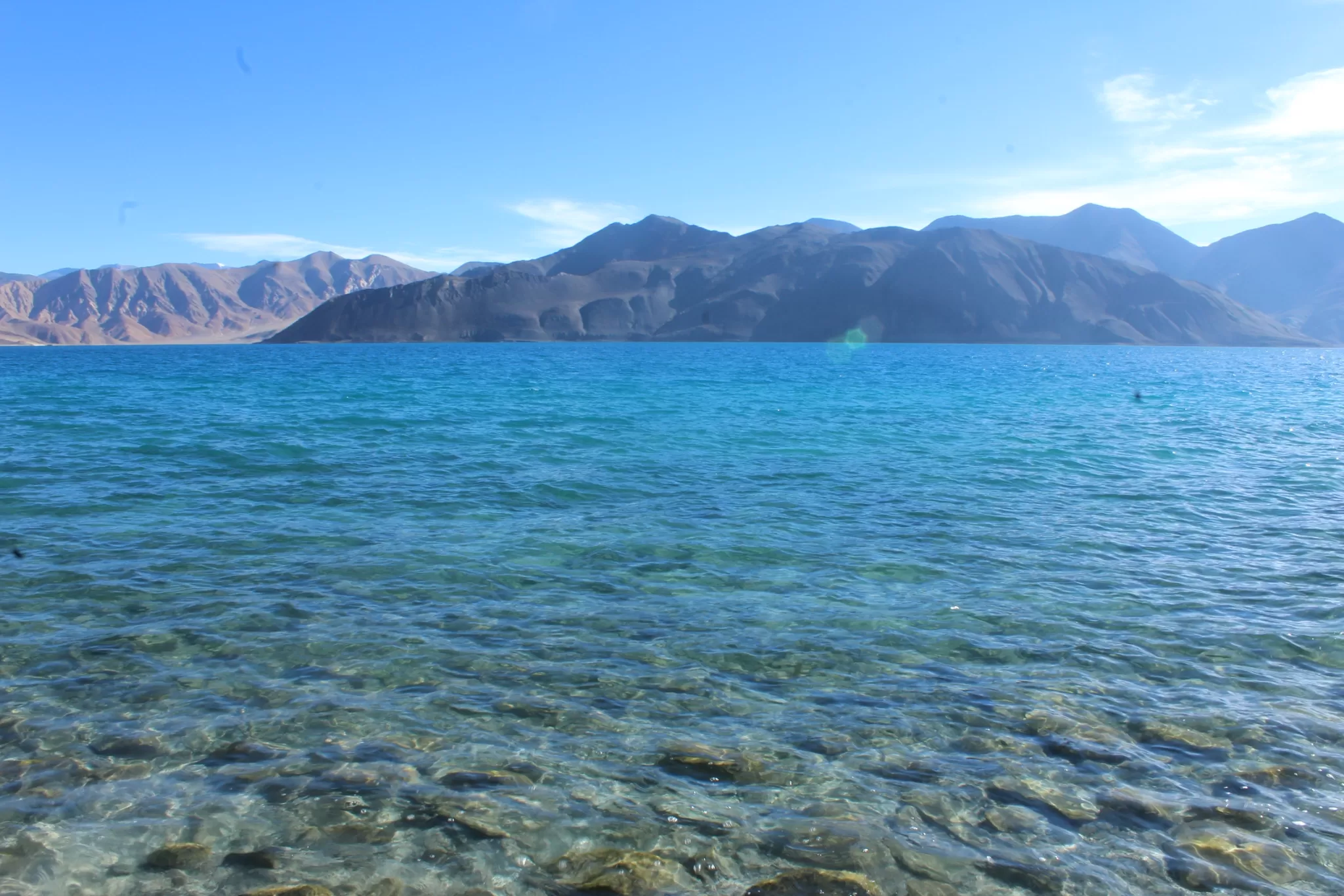 Cover Image of Ameer Abbas