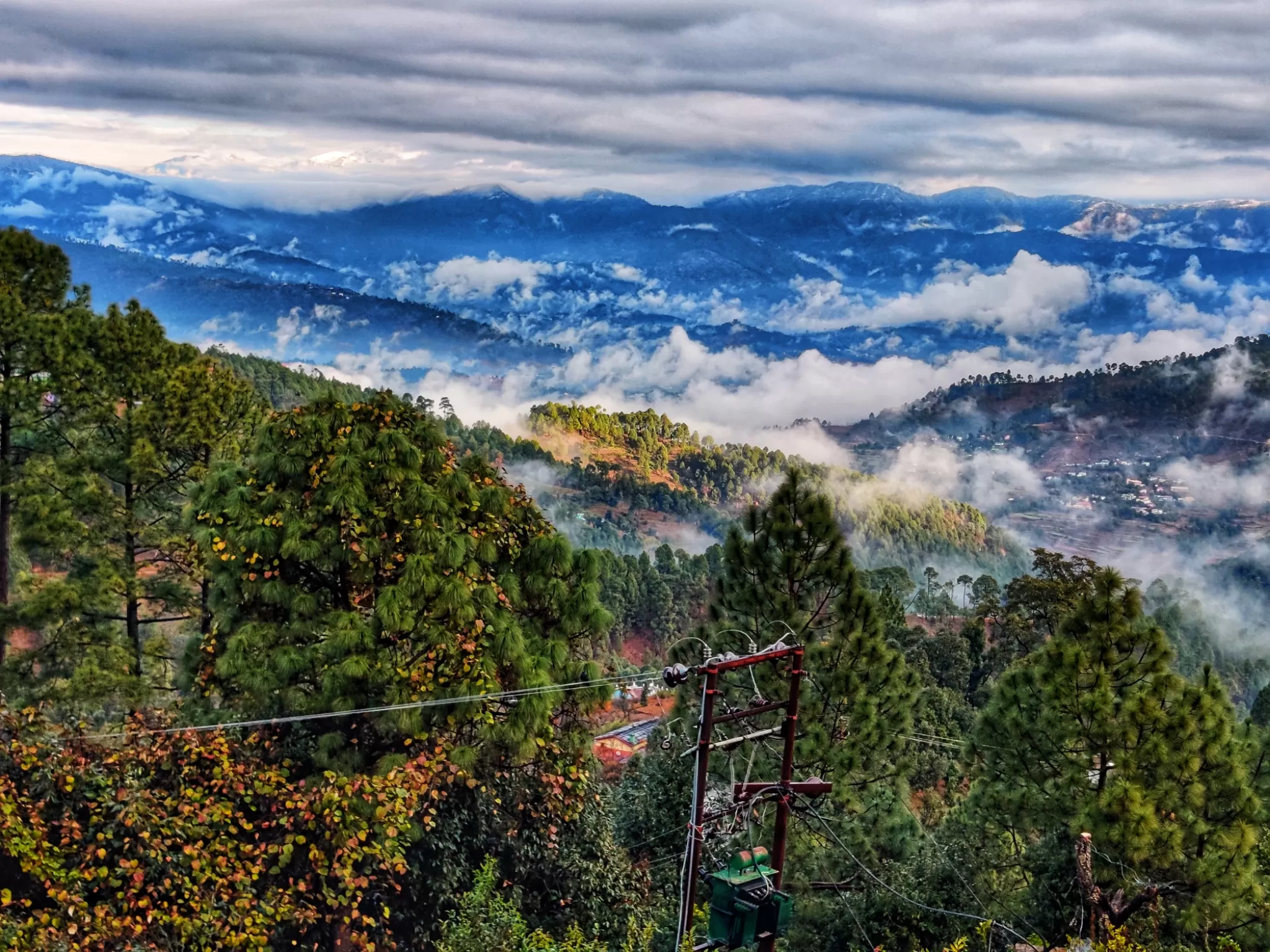 Cover Image of Anonno Ghosh