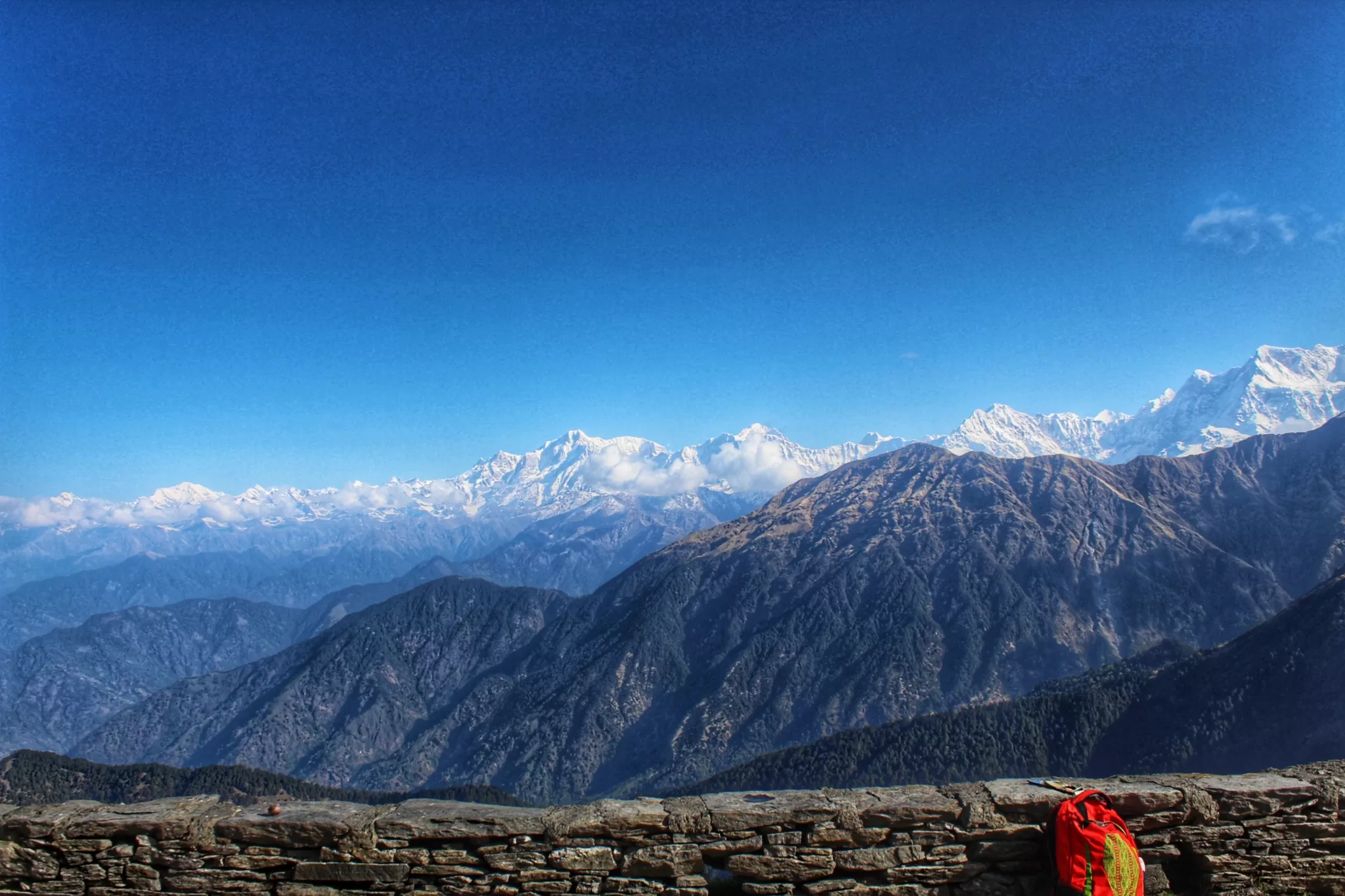 Cover Image of Neha Nelica Bisht