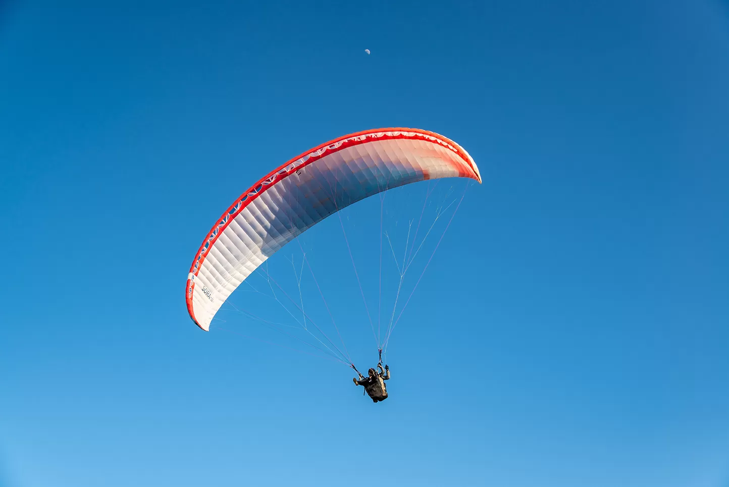 Cover Image of What's Abhi Doing