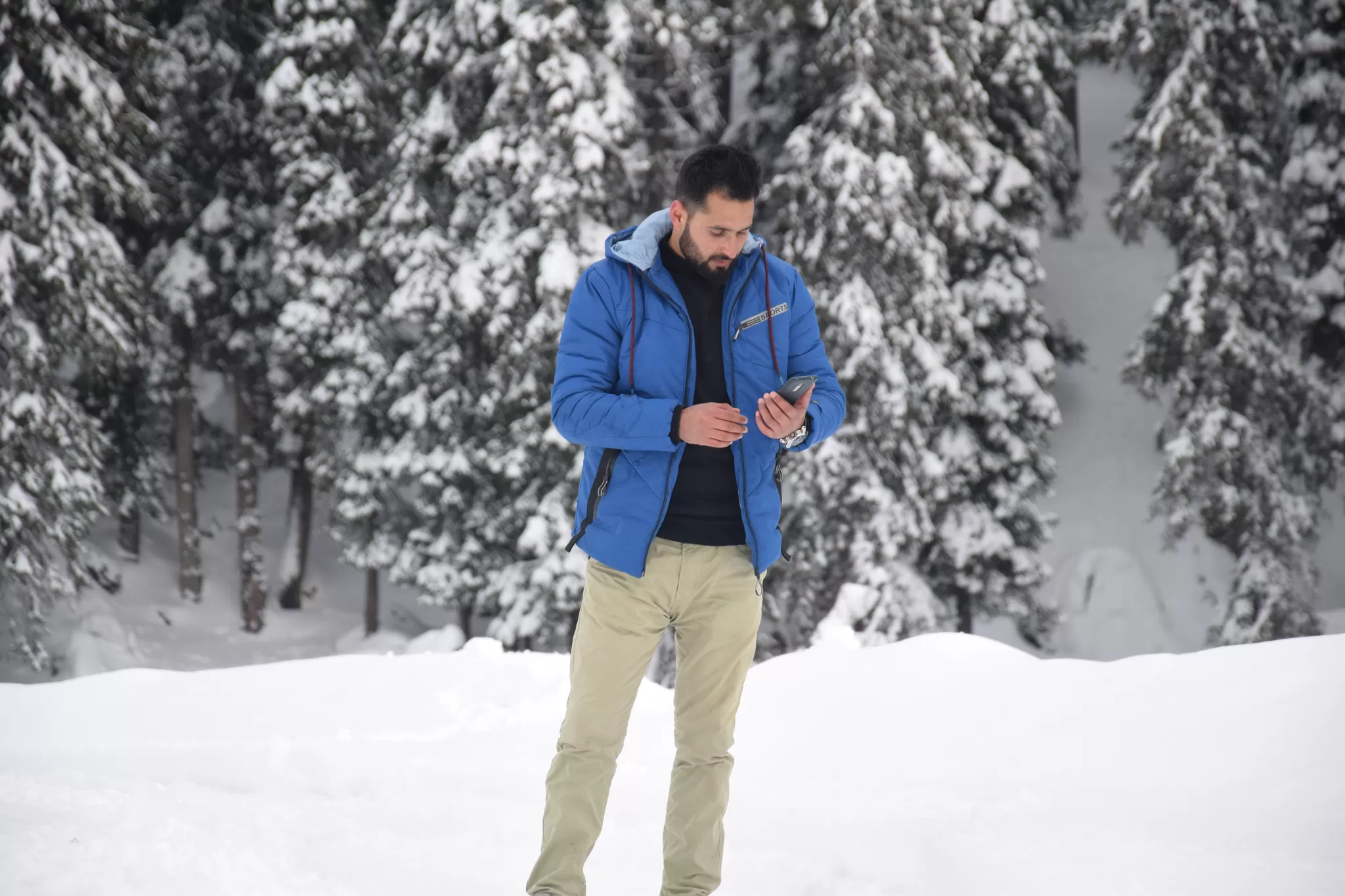 Cover Image of Kashmir Perfect Holidays