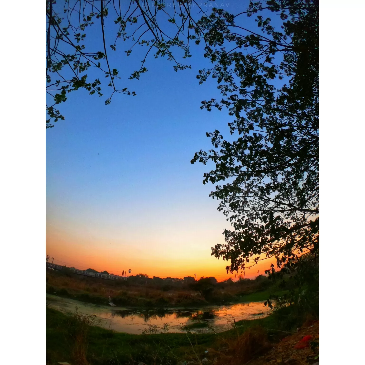 Cover Image of Pranav Madhavan Nair