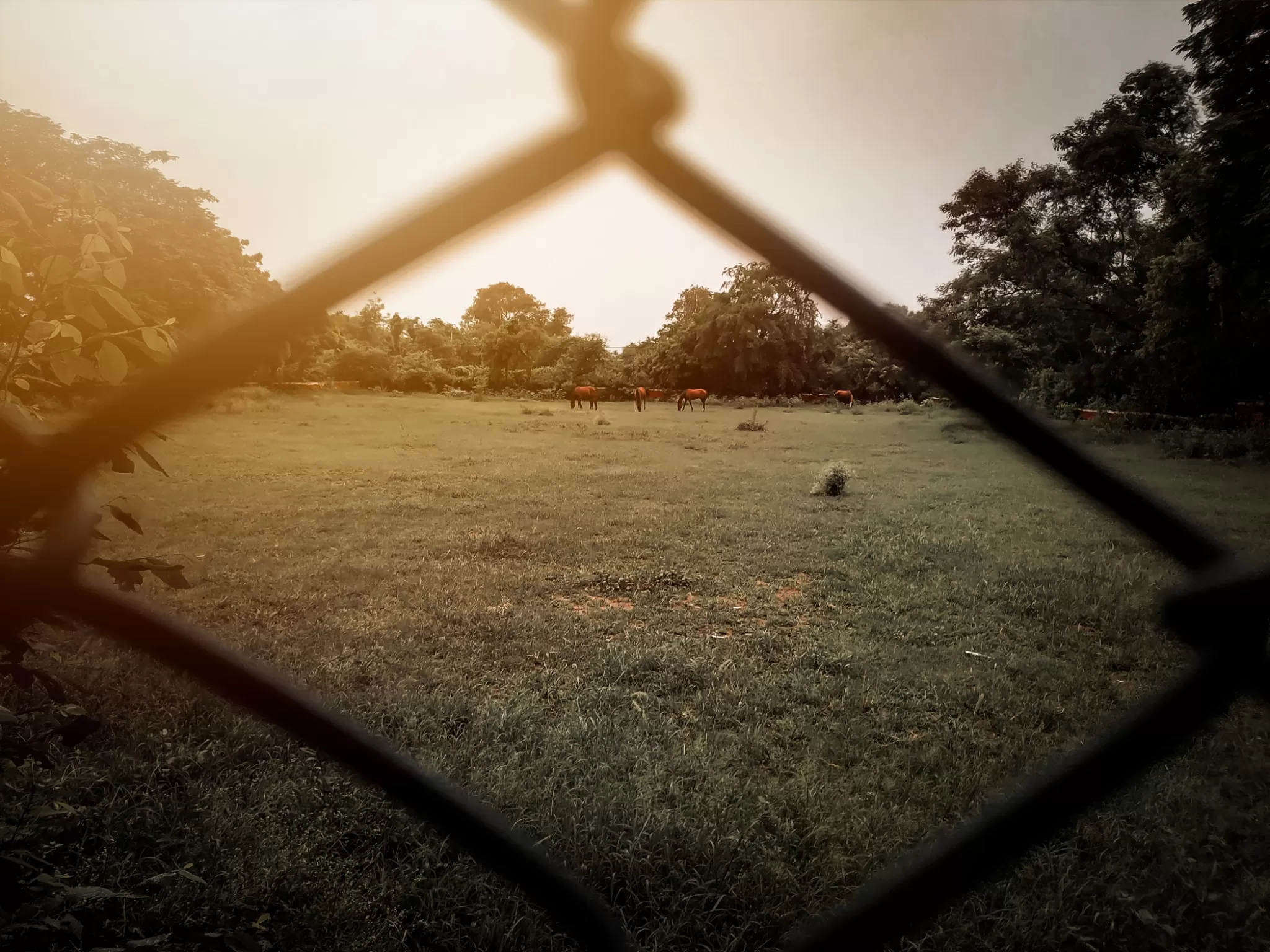 Cover Image of Chitransh Bhardwaj