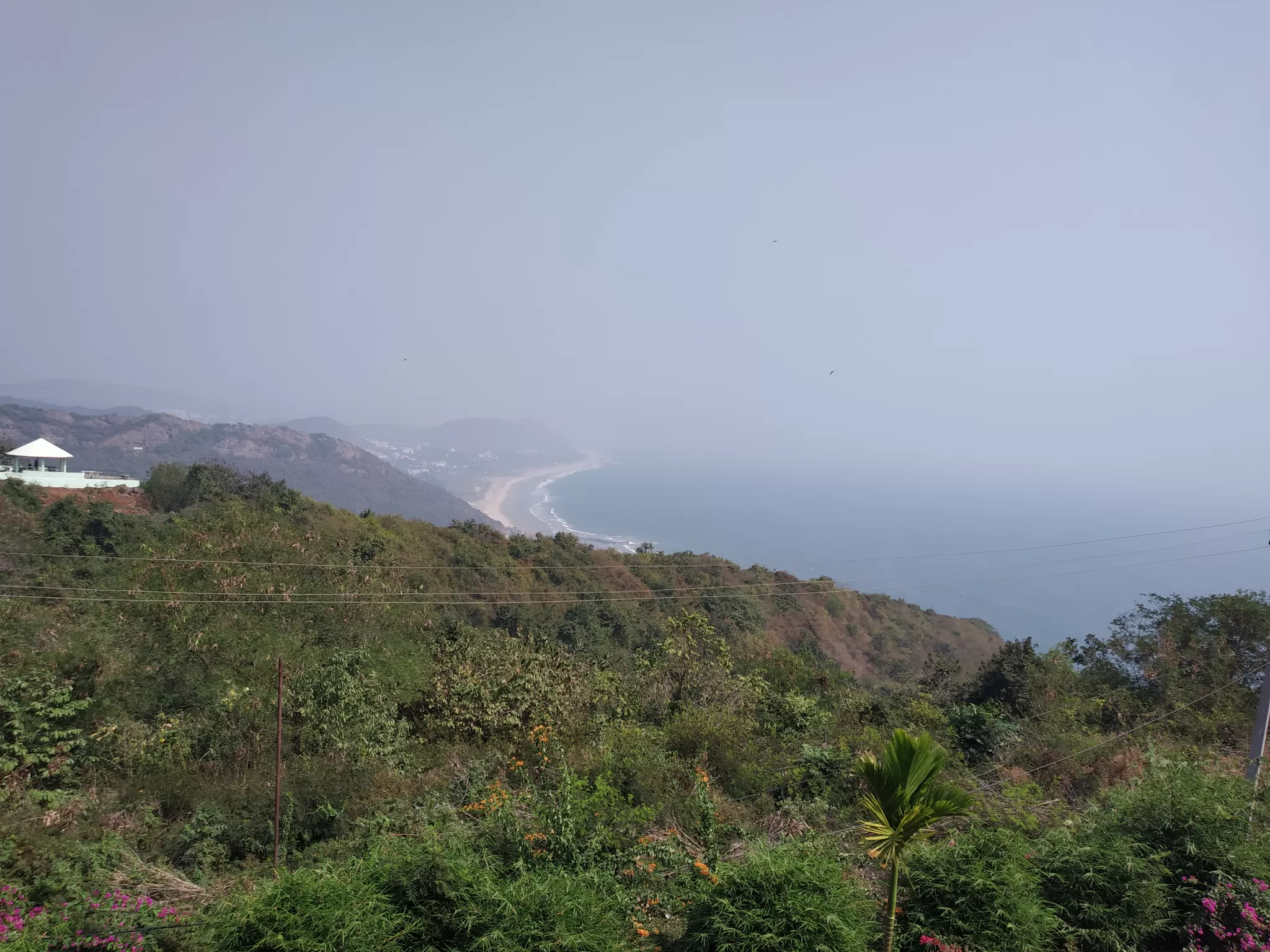 Cover Image of Suman Dey