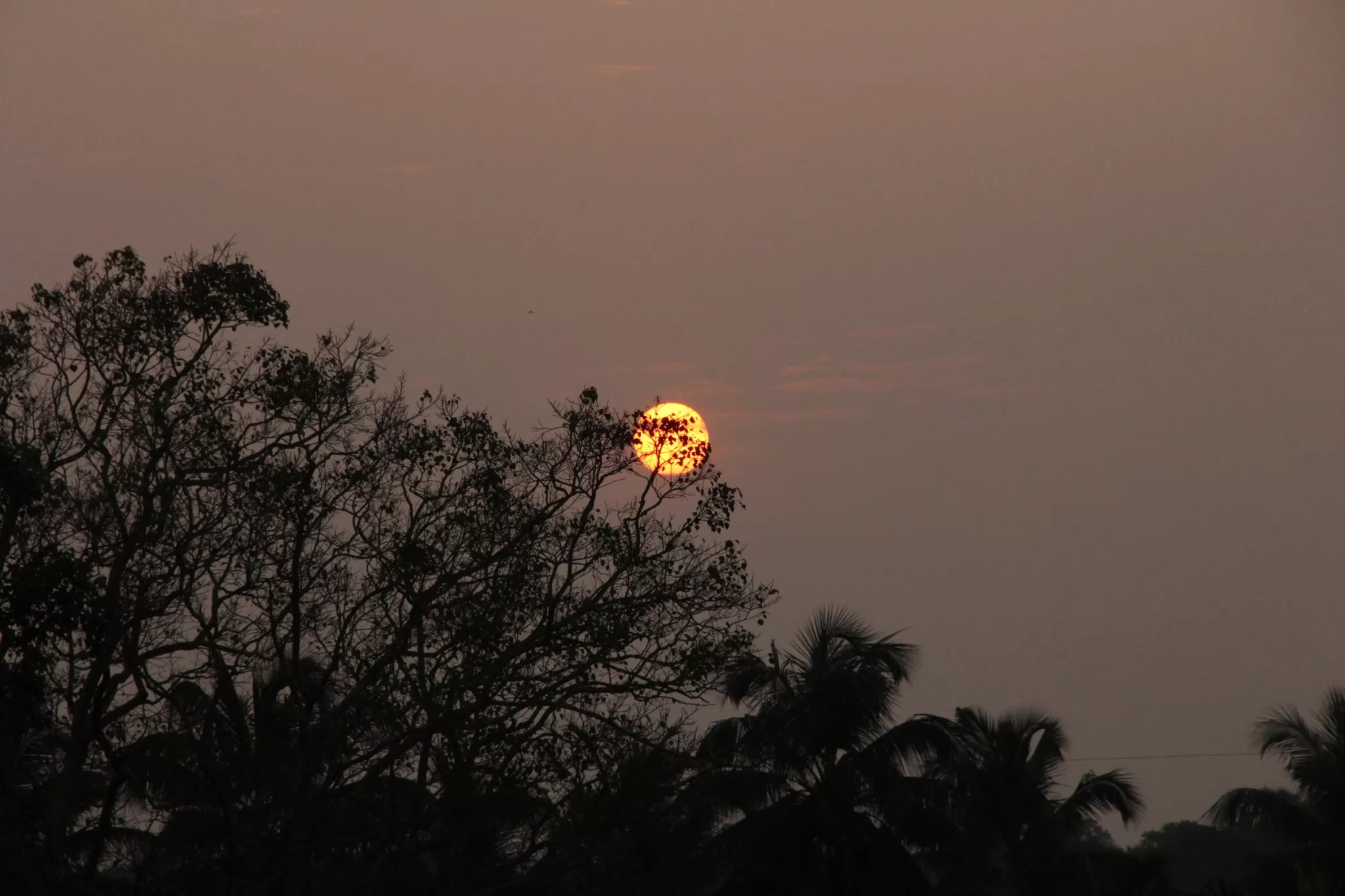 Cover Image of kiran kumar