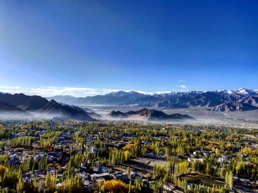 Cover Image of Dr Rahul Bharatia