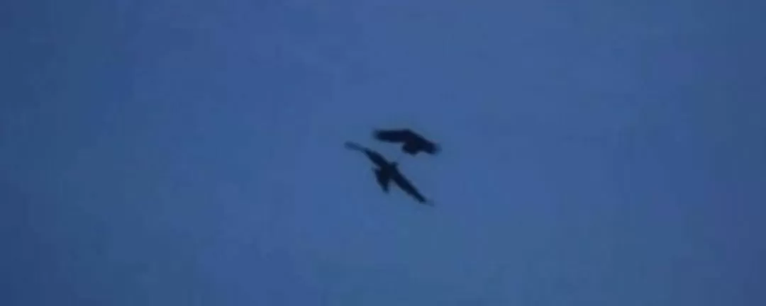 Cover Image of Mrinmoy Bania