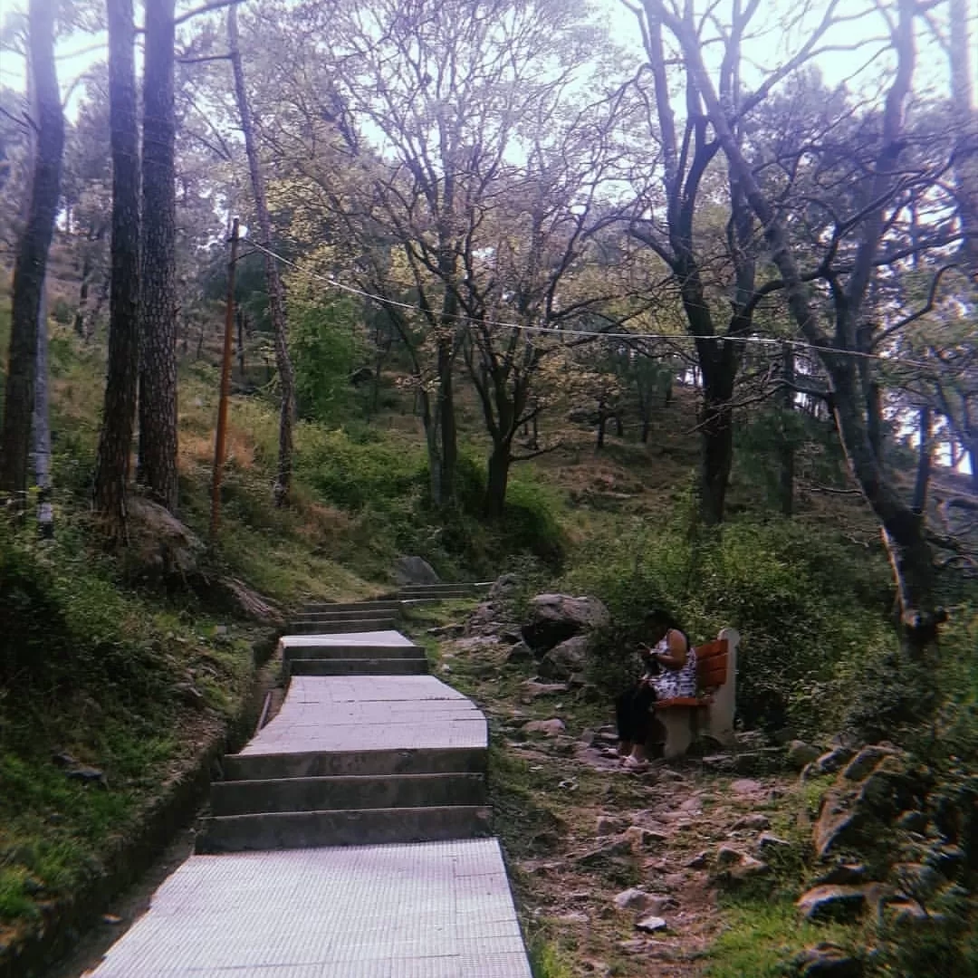 Cover Image of Simran Saxena