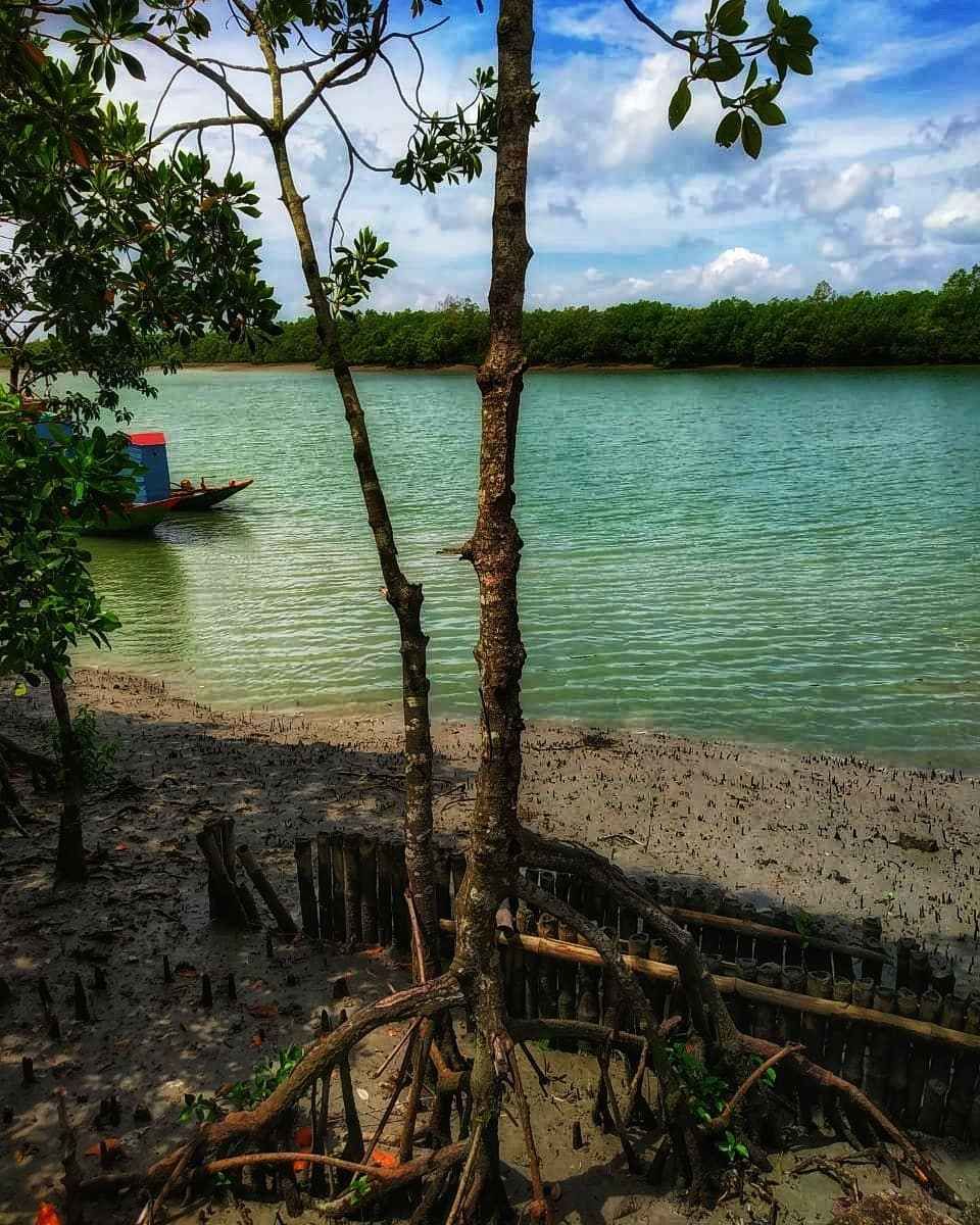 Sundarban Tourism