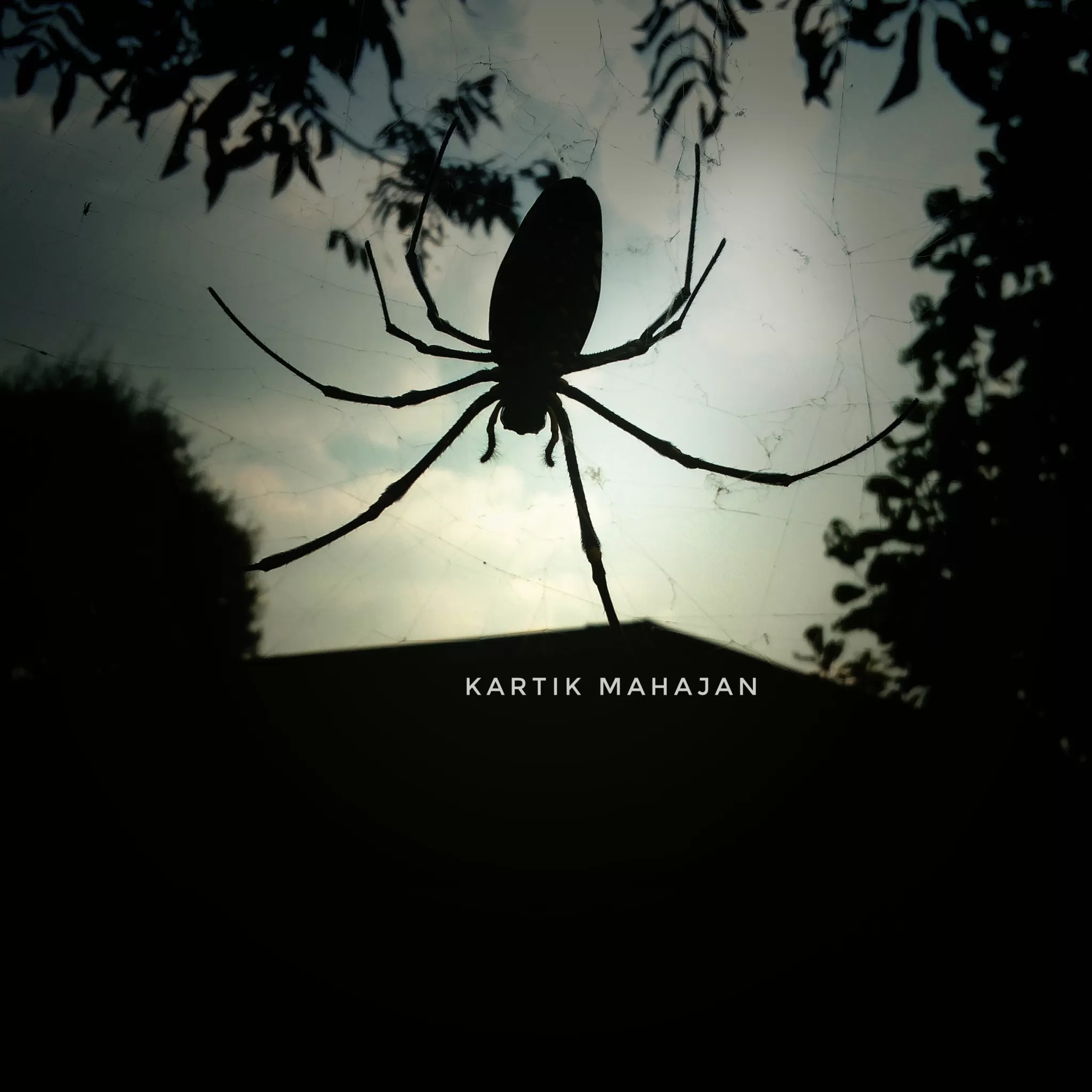 Cover Image of Kartik Mahajan