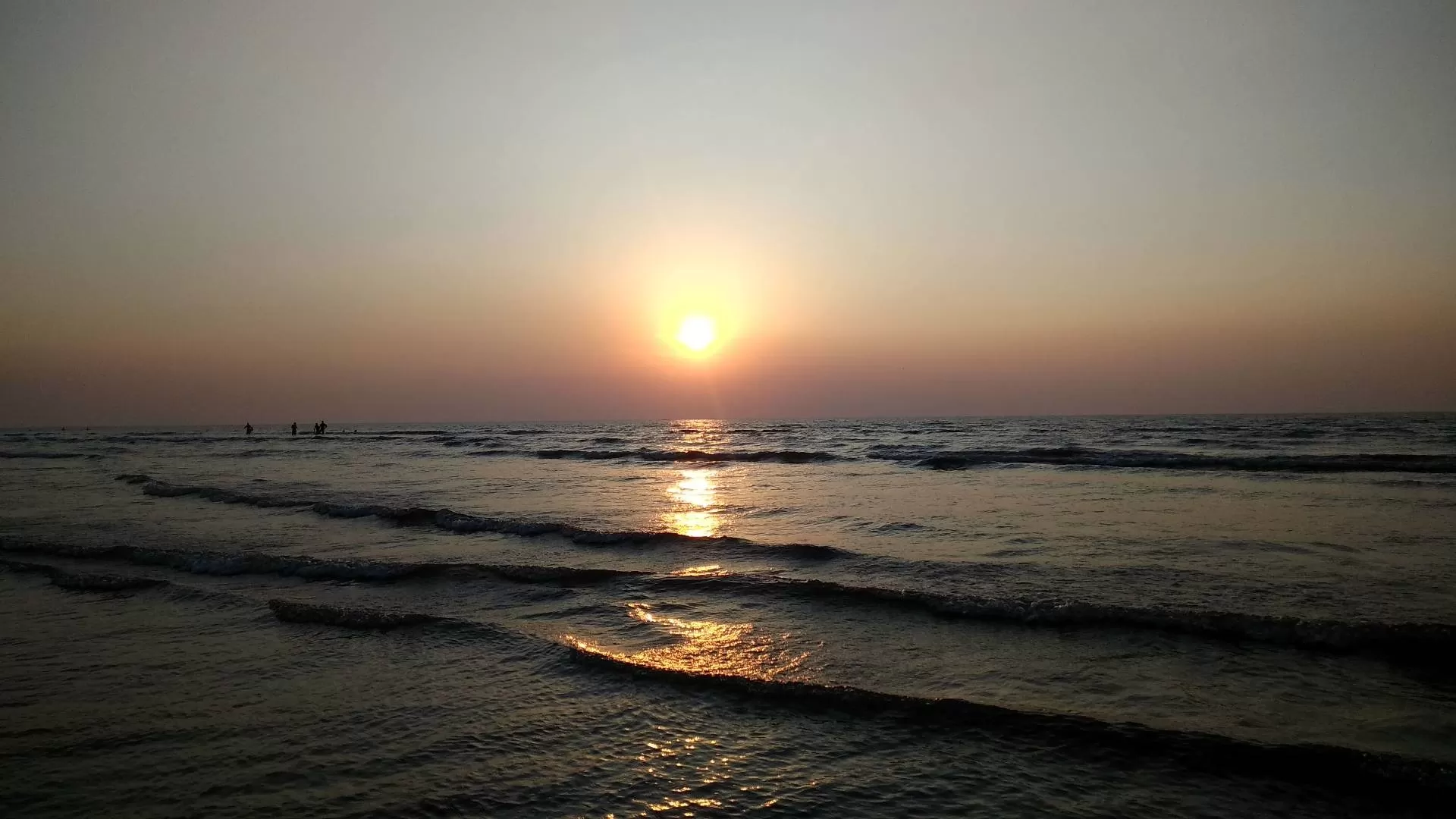 Cover Image of Parth Mehta