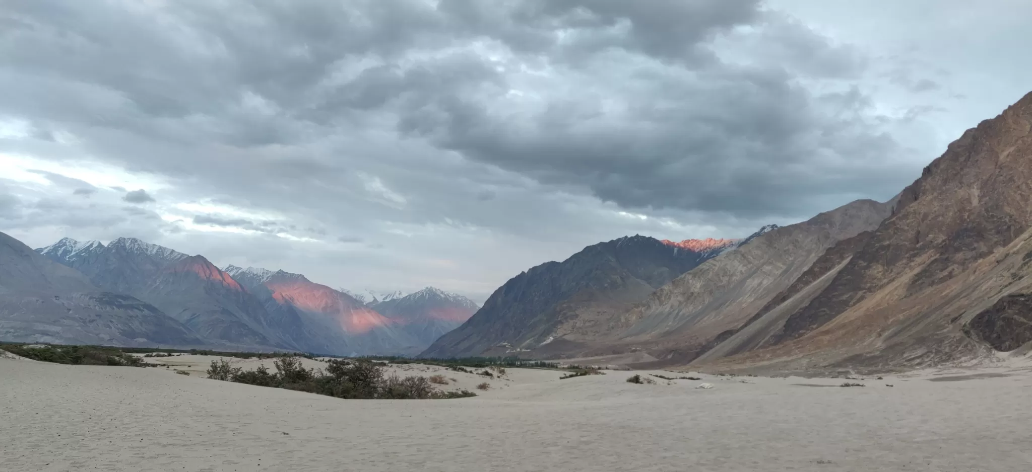 Cover Image of Sanya Khanna