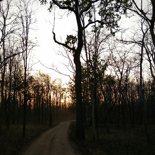 Cover Image of FoolishTraveller