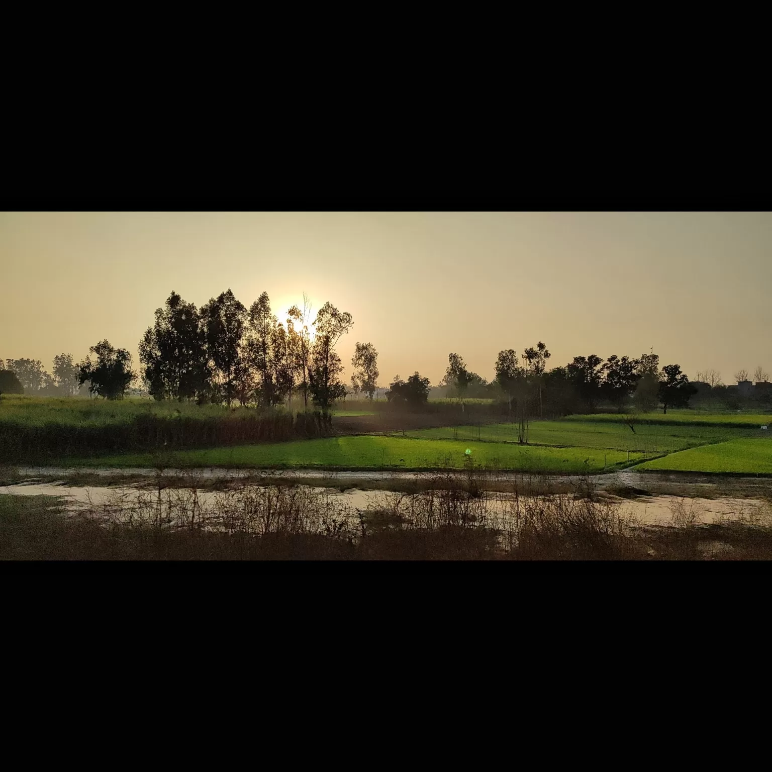 Cover Image of Eddy Aditya