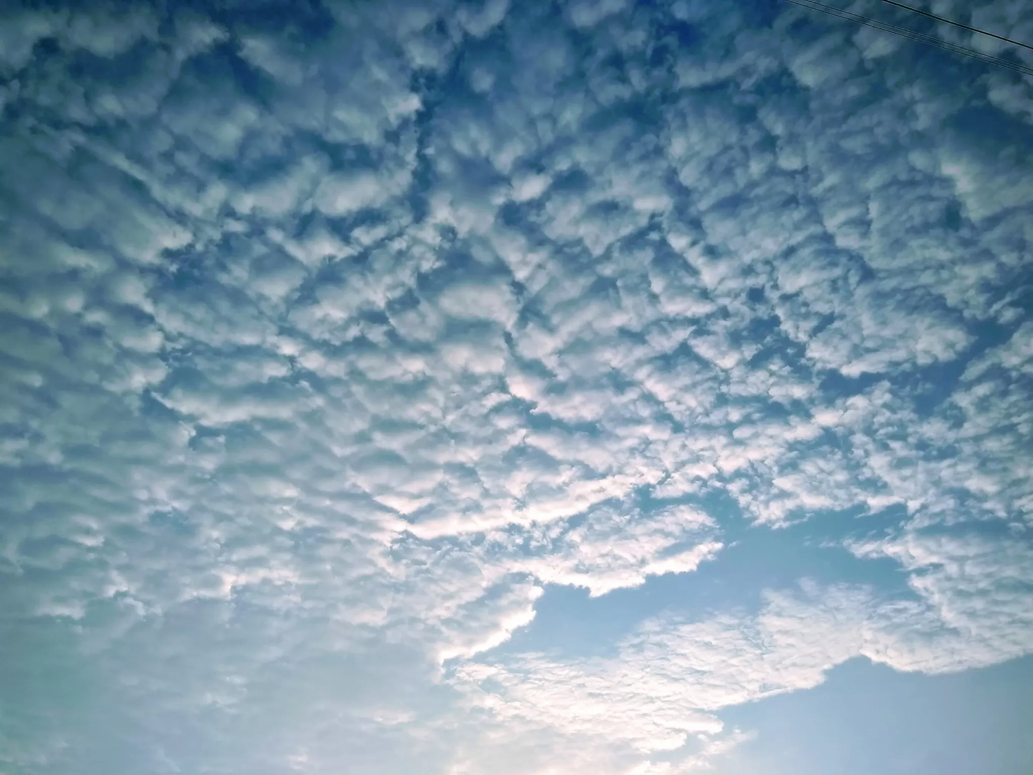 Cover Image of John Joy 