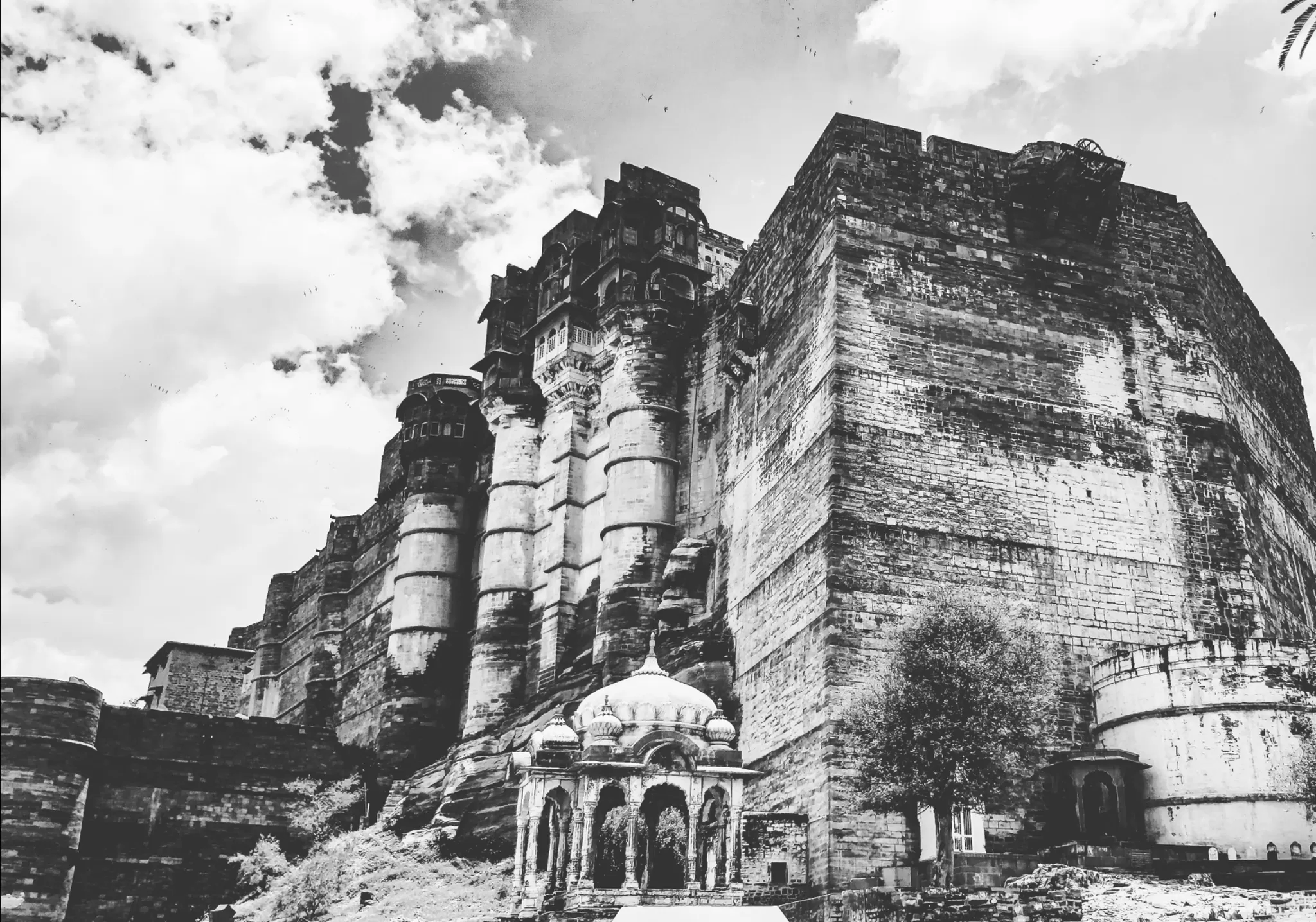 Cover Image of desipostcards
