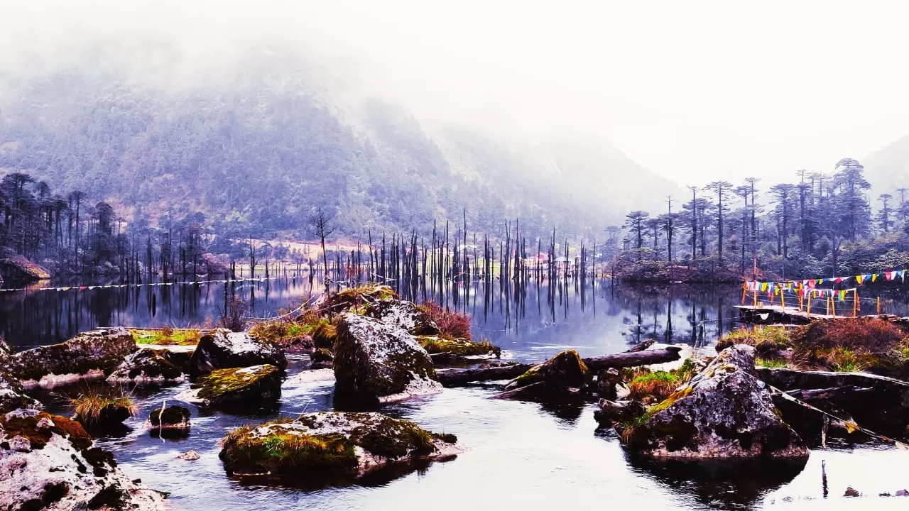 Cover Image of TRIPS-N-TREKKS HOLIDAYS PRIVATE LIMITED