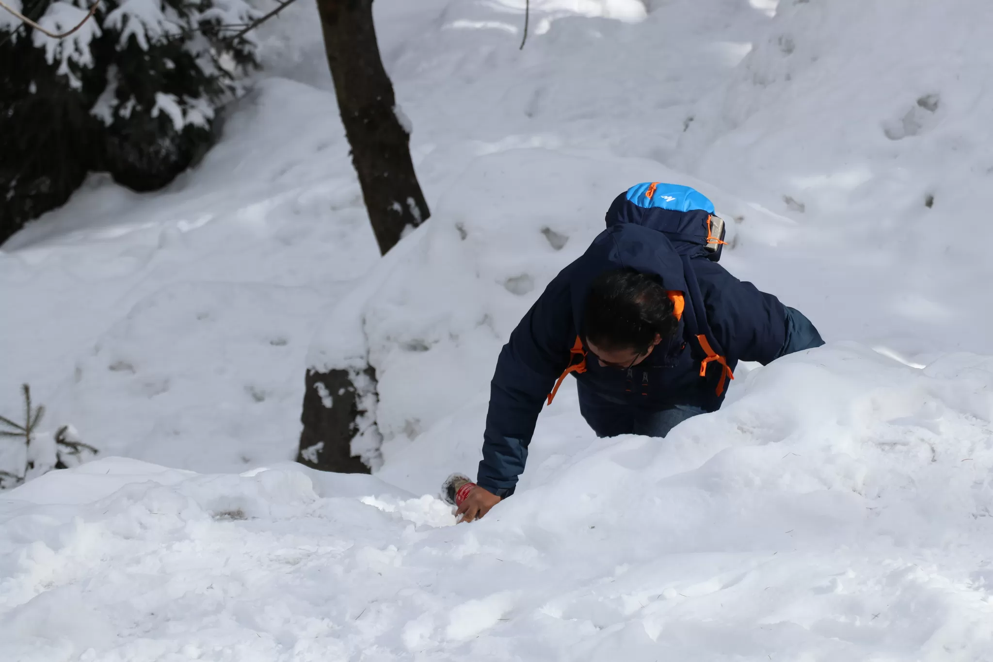 Cover Image of mytripslog