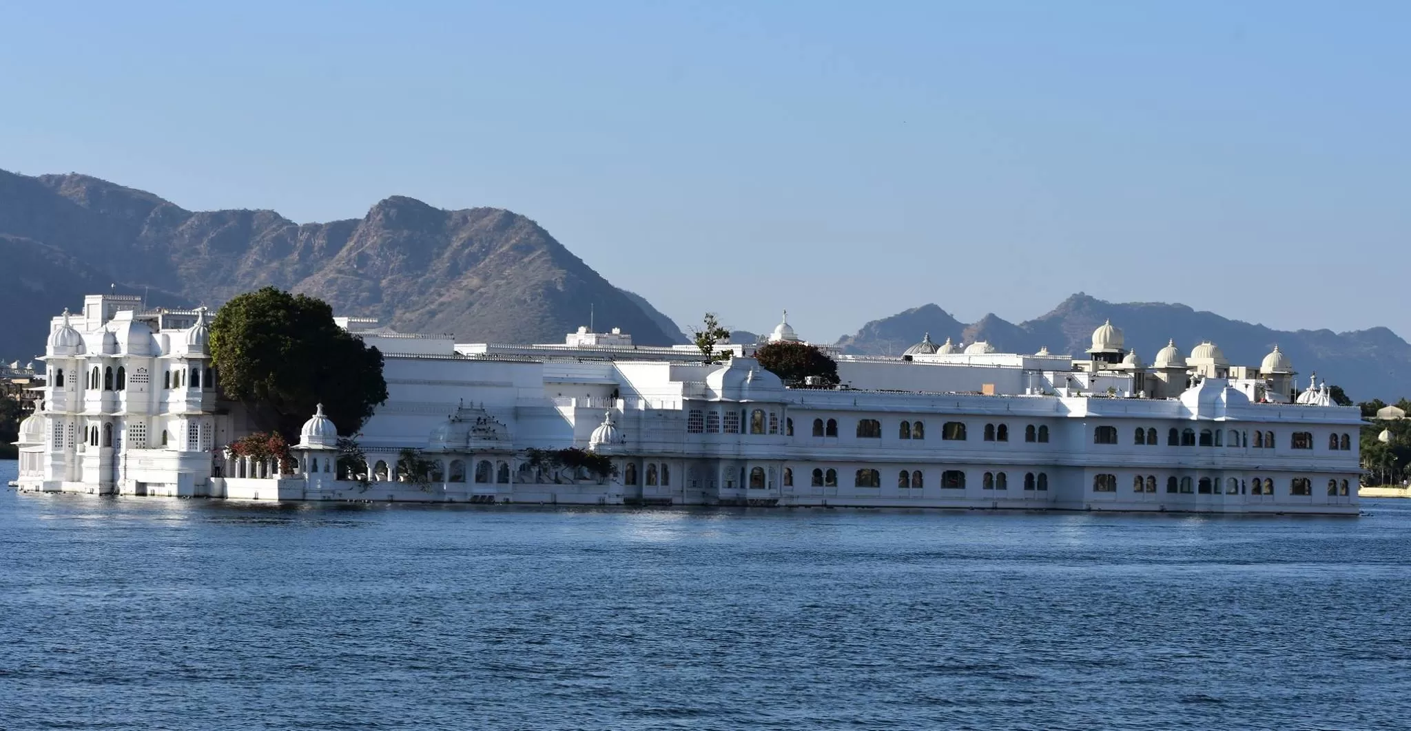 Cover Image of Sharad Sharma