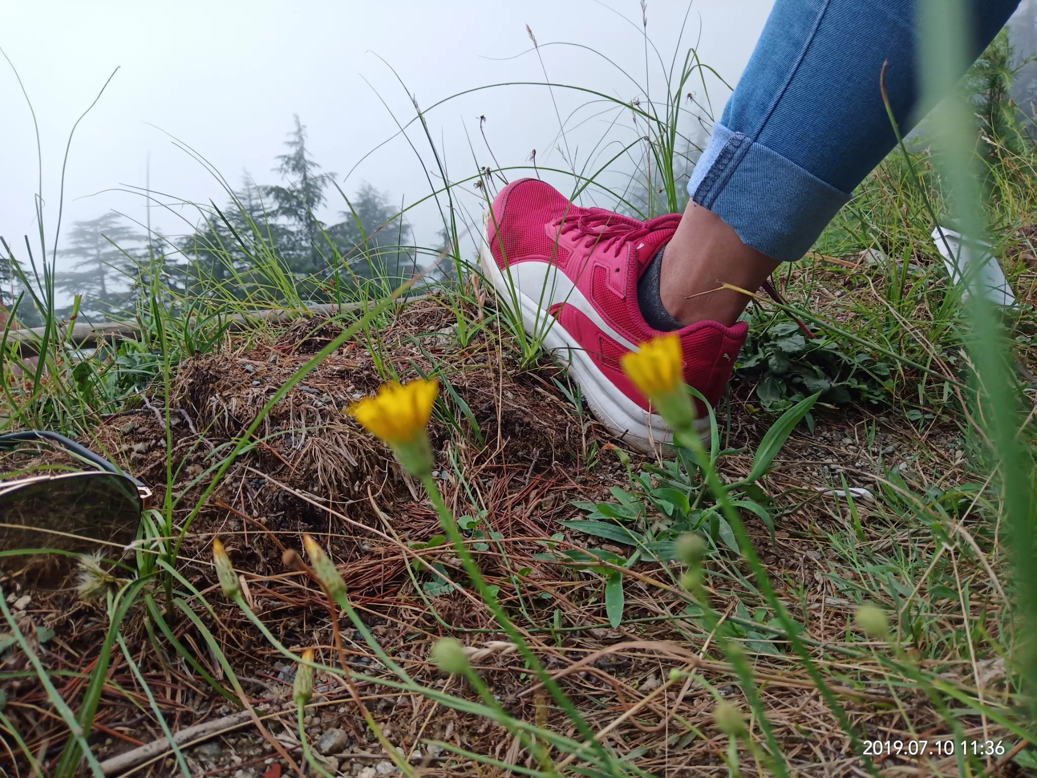 Cover Image of Vandana Singh