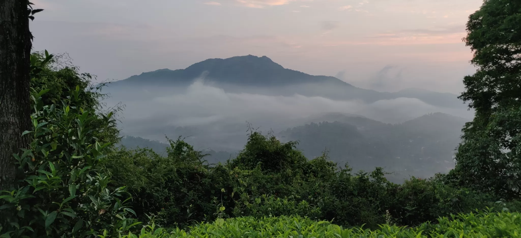 Cover Image of Smriti Sonali