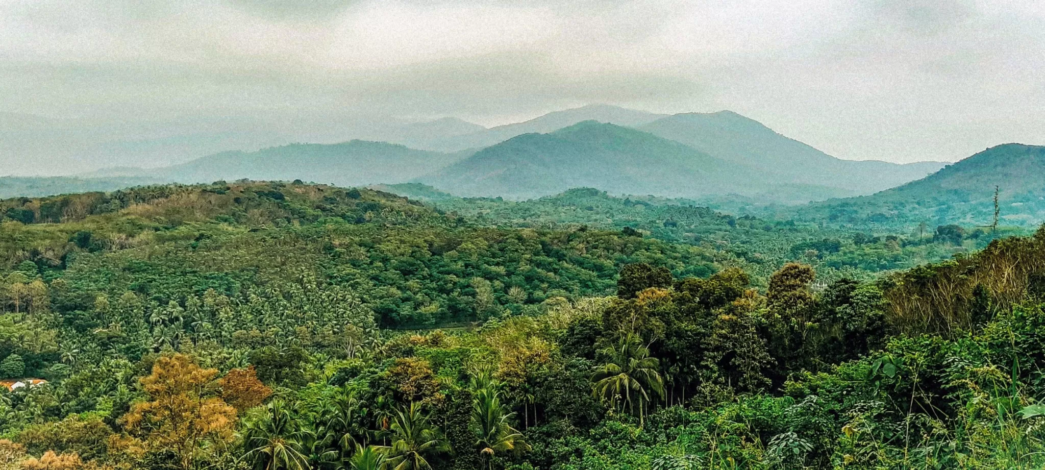 Cover Image of Sourav Sugunan