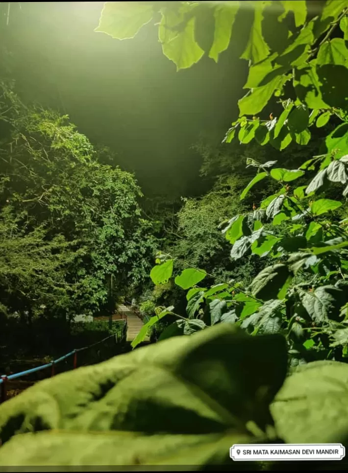 Cover Image of Vishv Deep Tripathi