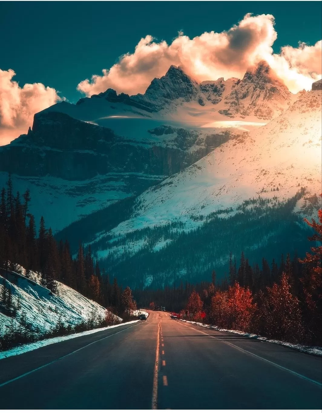 Cover Image of shubham bidla